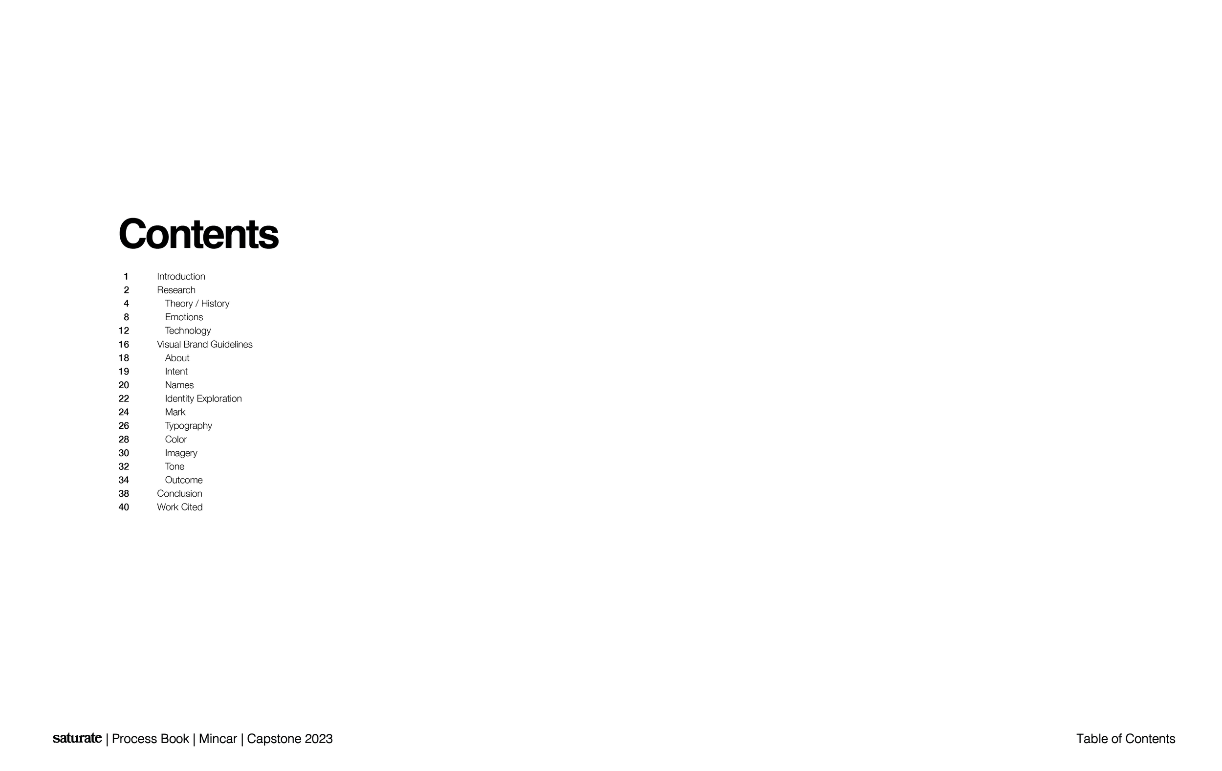 Saturate ProcessBook Spreads-05.png