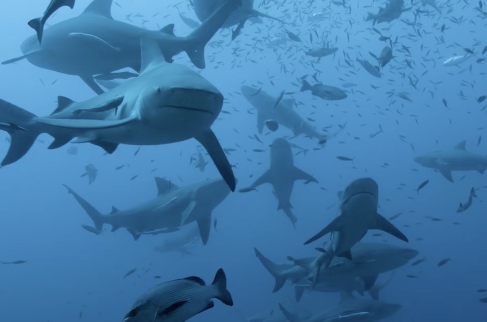 Beyond the surface
