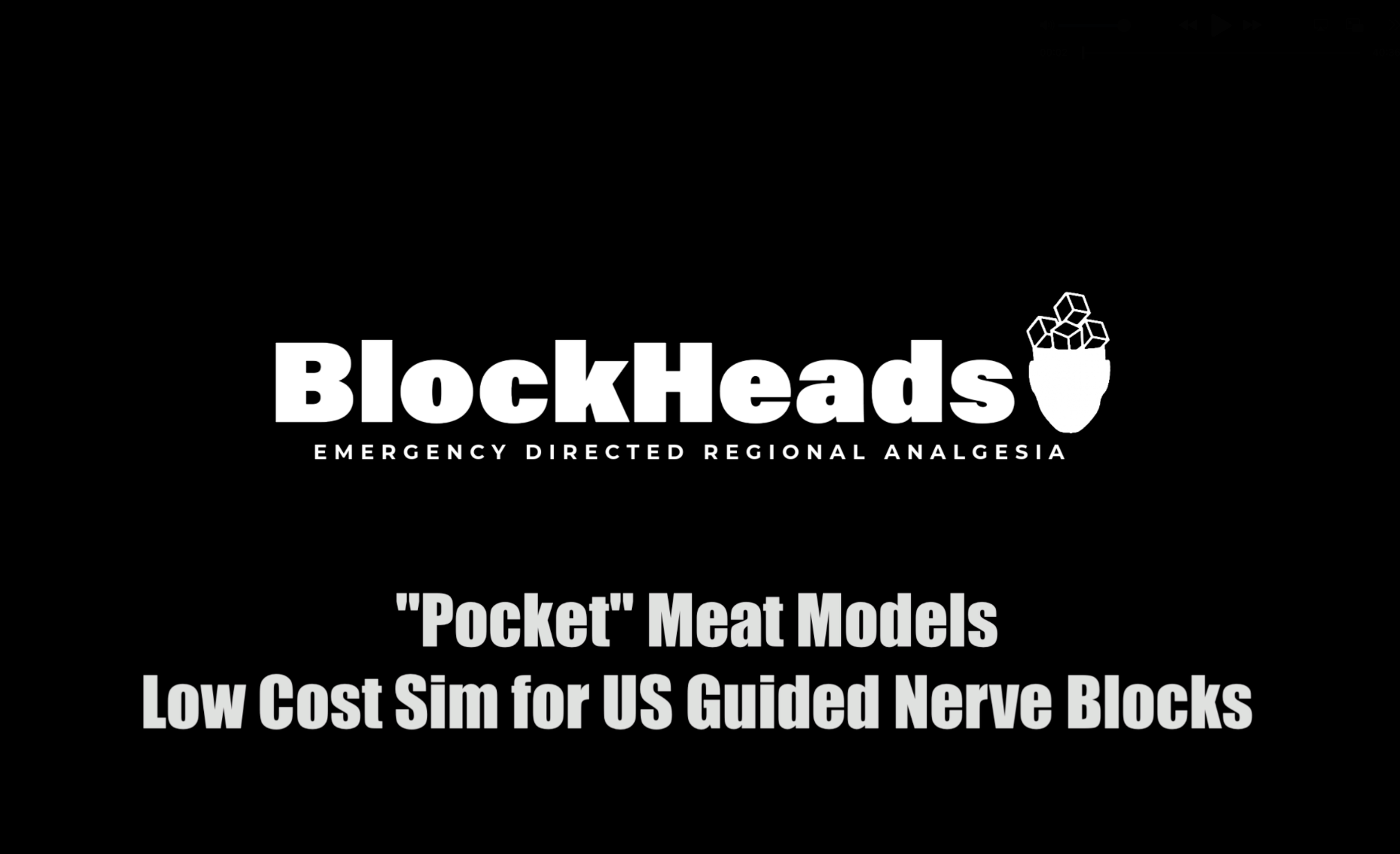 Episode from the BlockHeads Forum: Background and Tutorial on the Pocket Meat Model Simulation Kit
