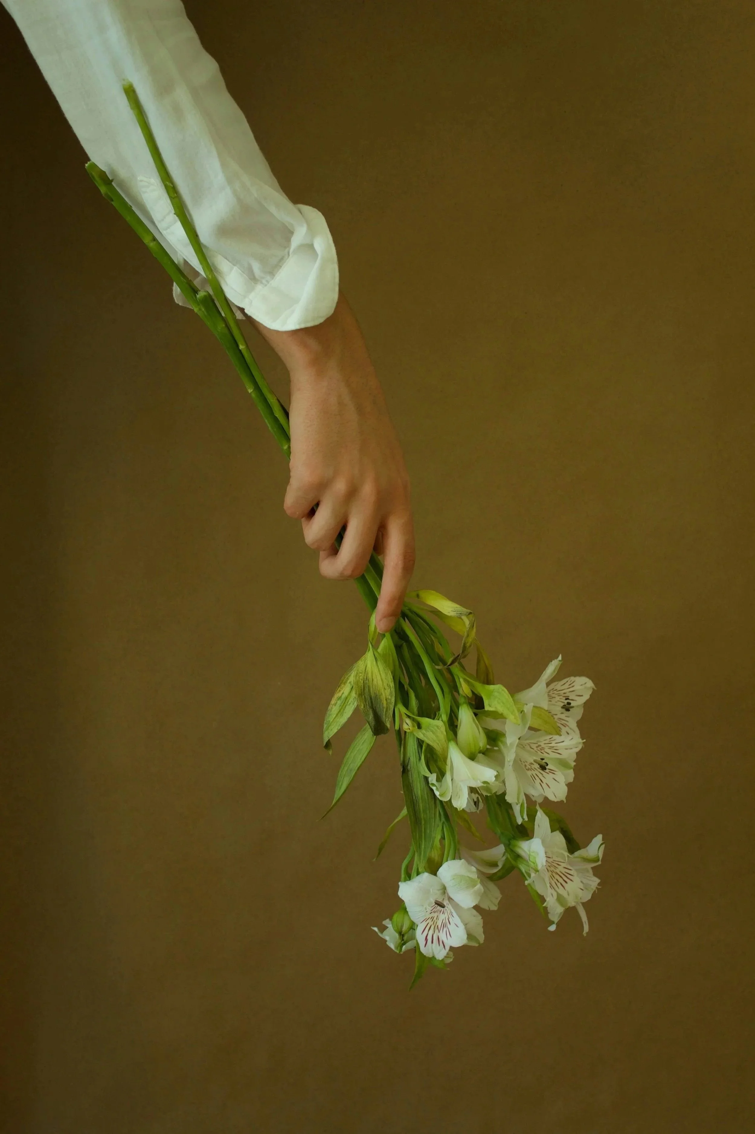 A person holding a bouquet of white and light green flowers with a brown background.