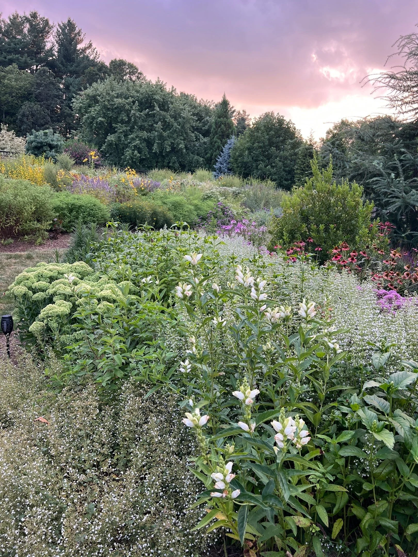 LECTURE: Low-Maintenance, High Impact Natural Gardens