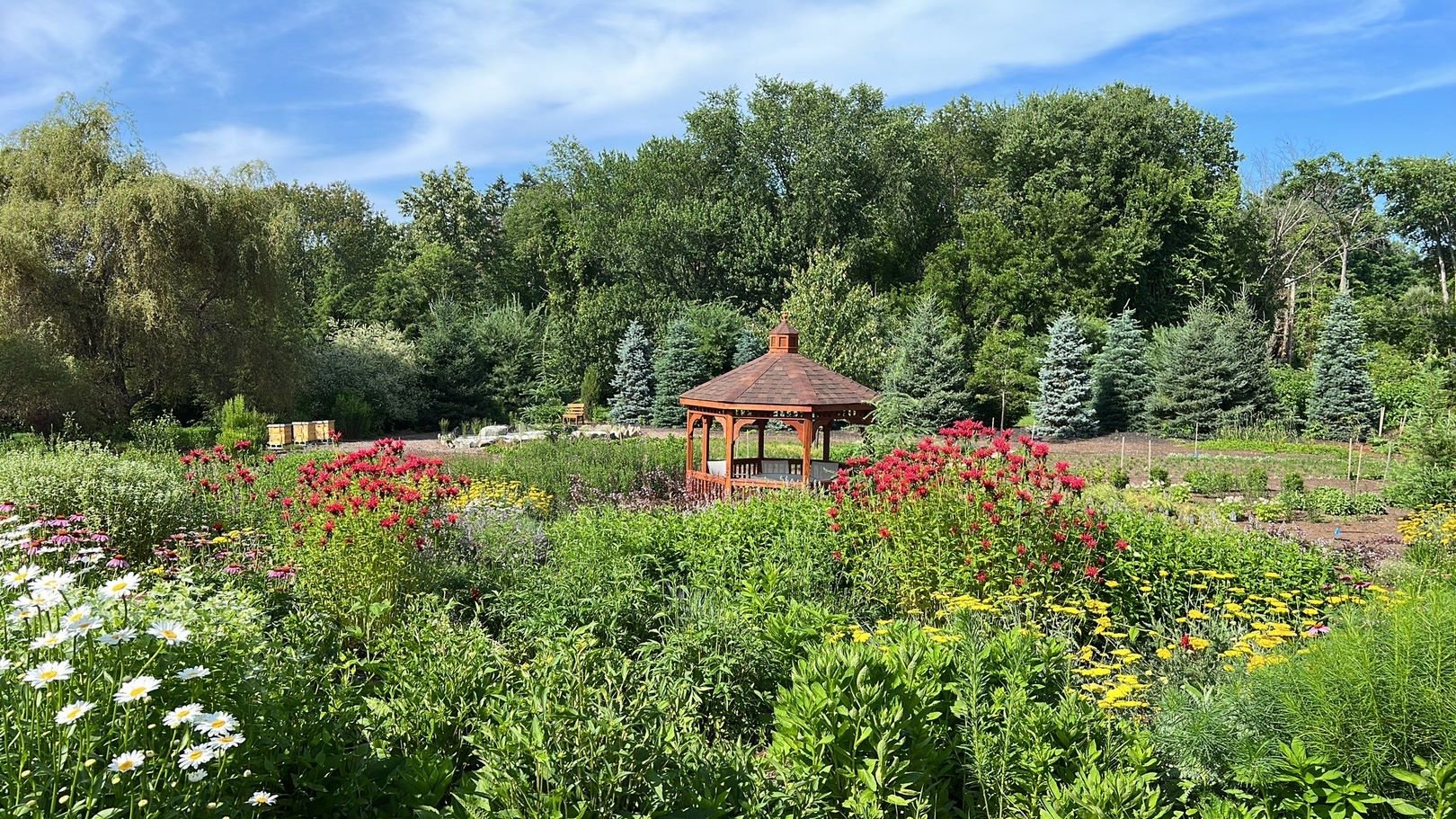 VIDEO: Intro to Lectures