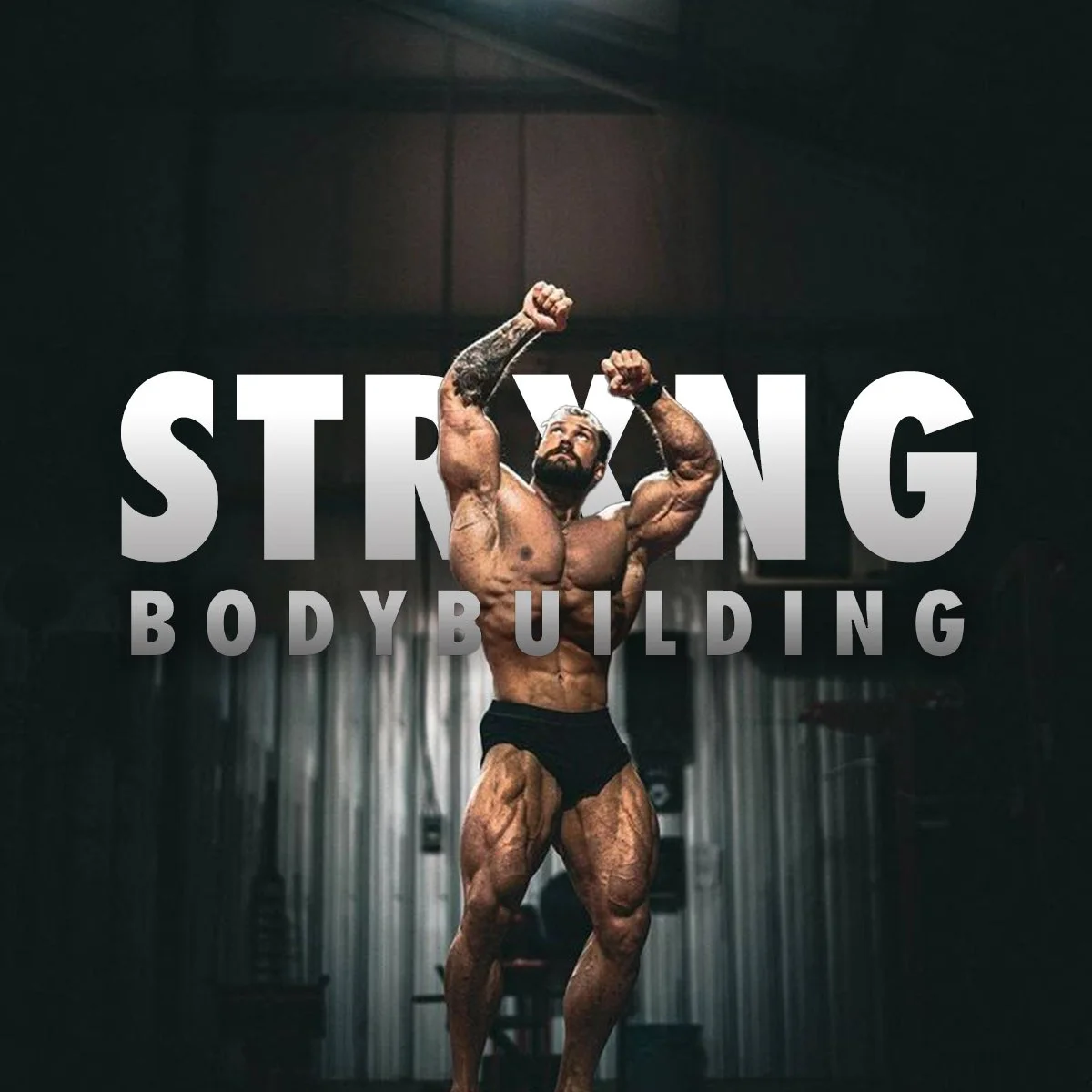 Push Pull Legs (5 Day Split) + Meal Plan