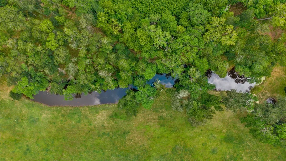 076-DJI_20260519165612_0607_D.jpg