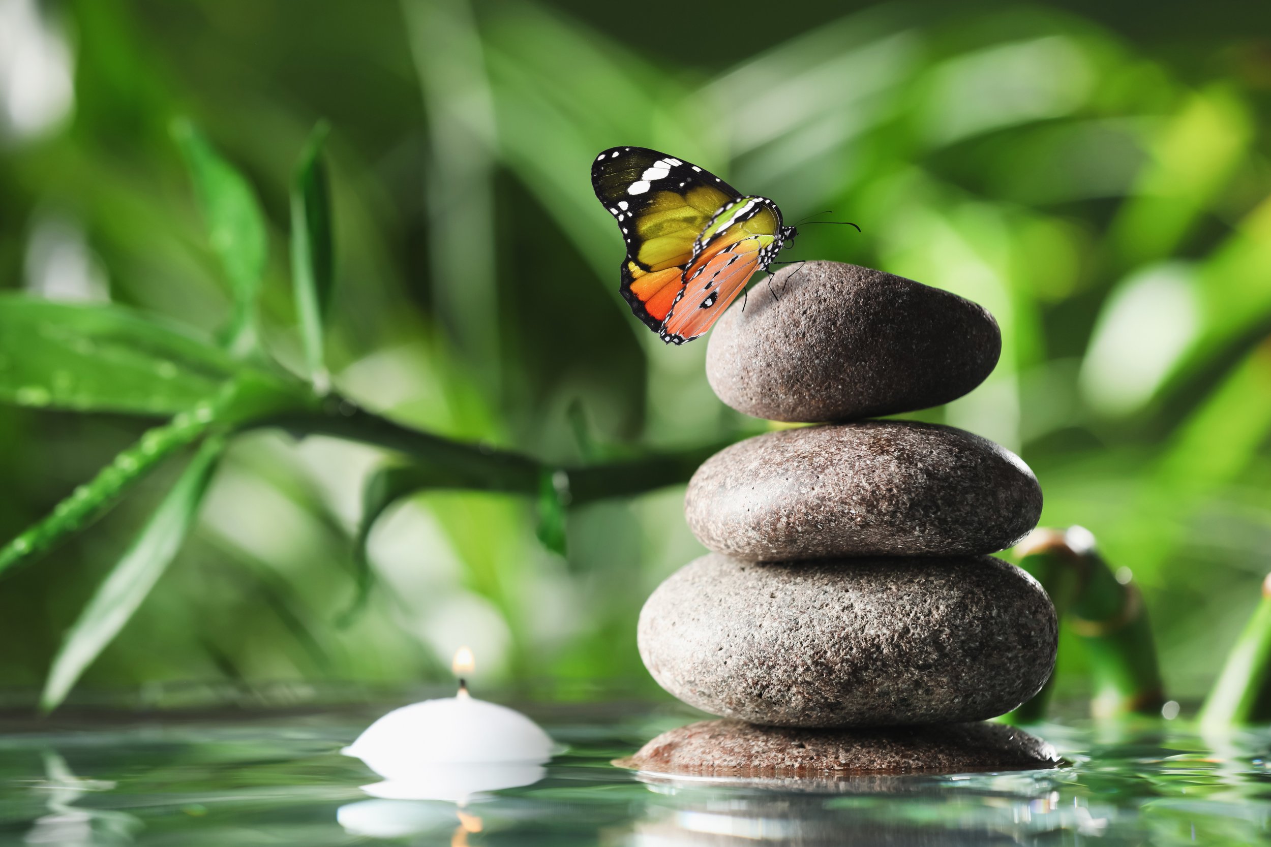 about-me-dcb-whole-health-and-wellness