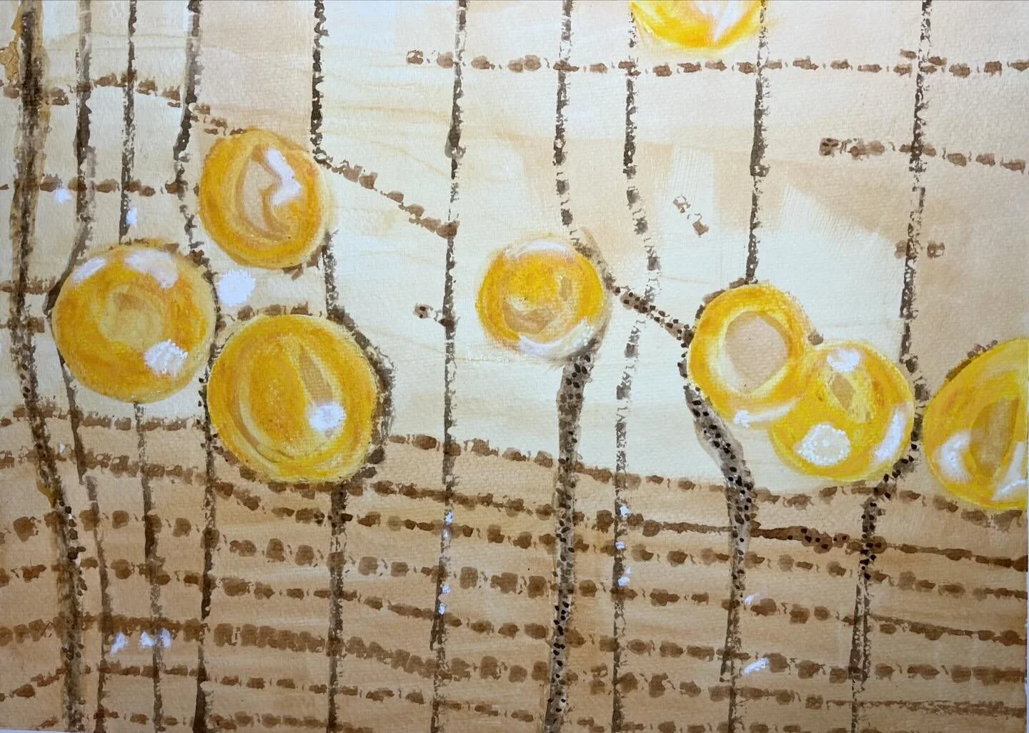 Inside Sassafras 
It&rsquo;s so hard to find beauty in the world right now. But trees have always been a huge source for me, in the forest, on the street, or in the woodshop. During a botany class with @barbarakurland (#brooklynicon) last year I saw 