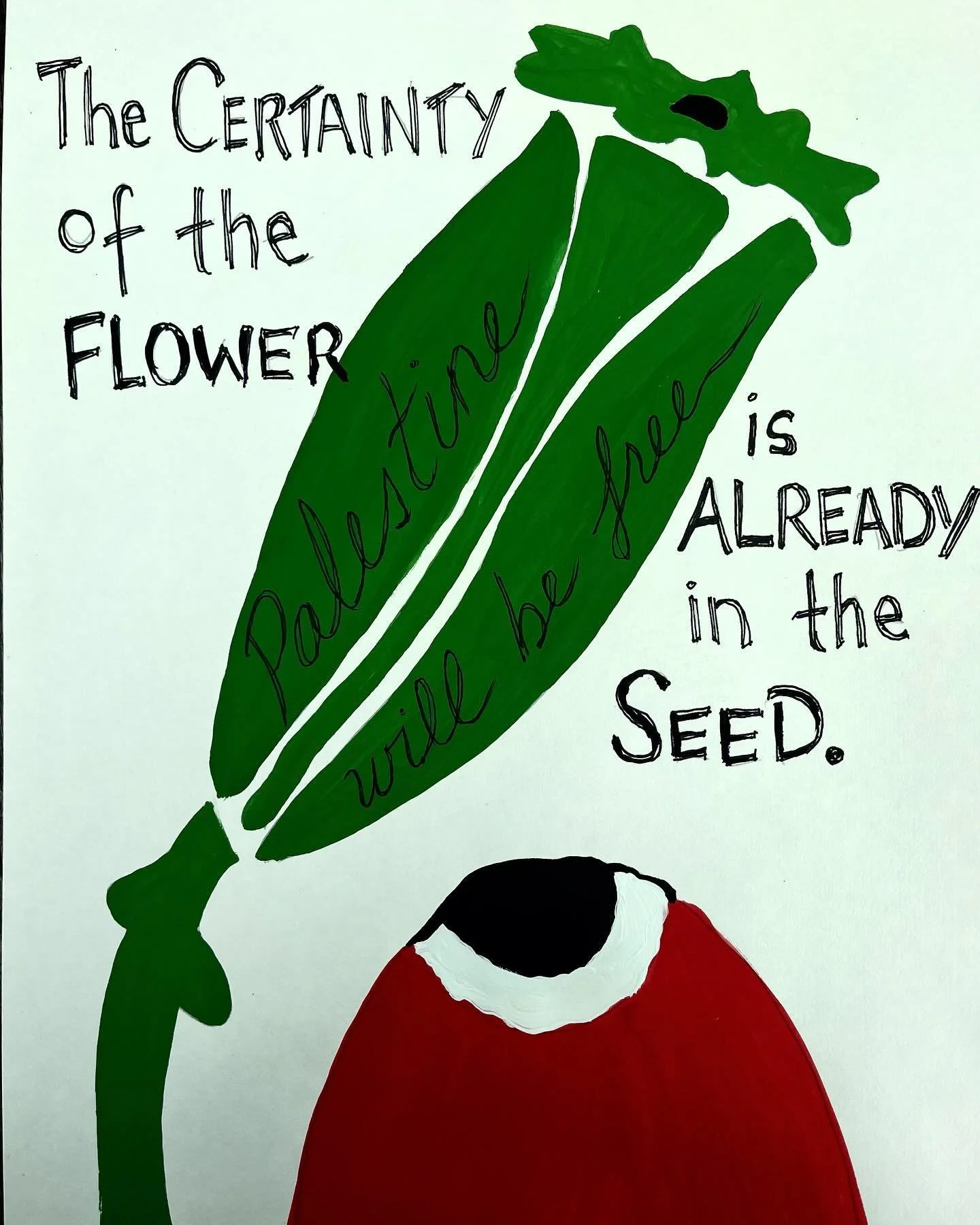 A lesson from the poppies, Papaver umbonatum. Palestine will be free.