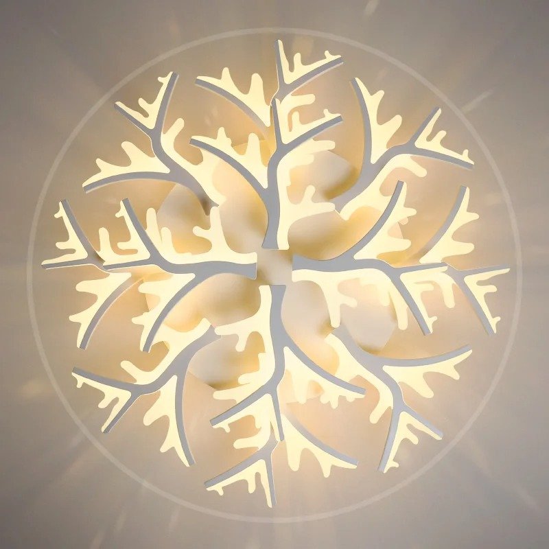 main-image-4.jpeg