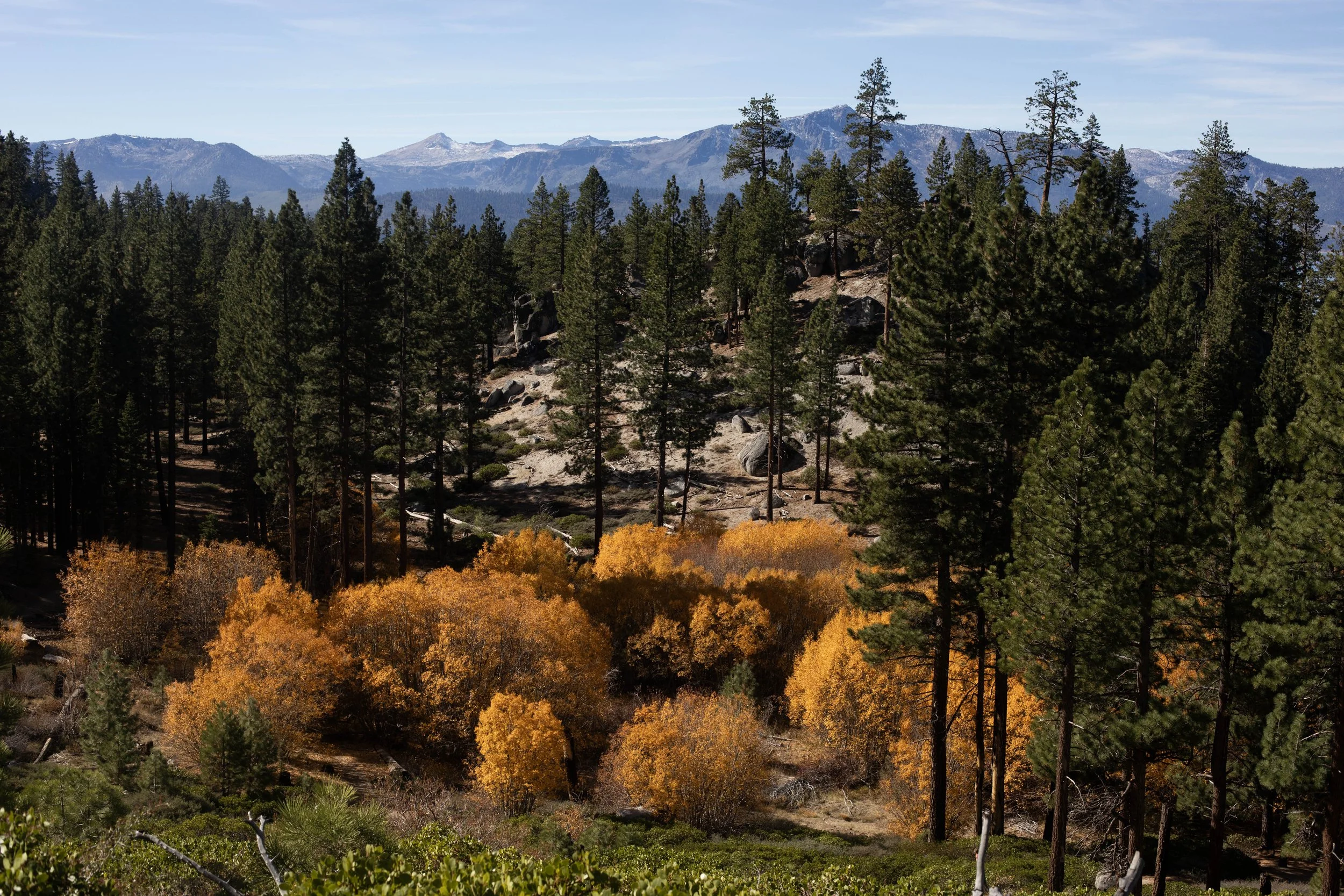 South Lake Tahoe20251030_0014.jpg