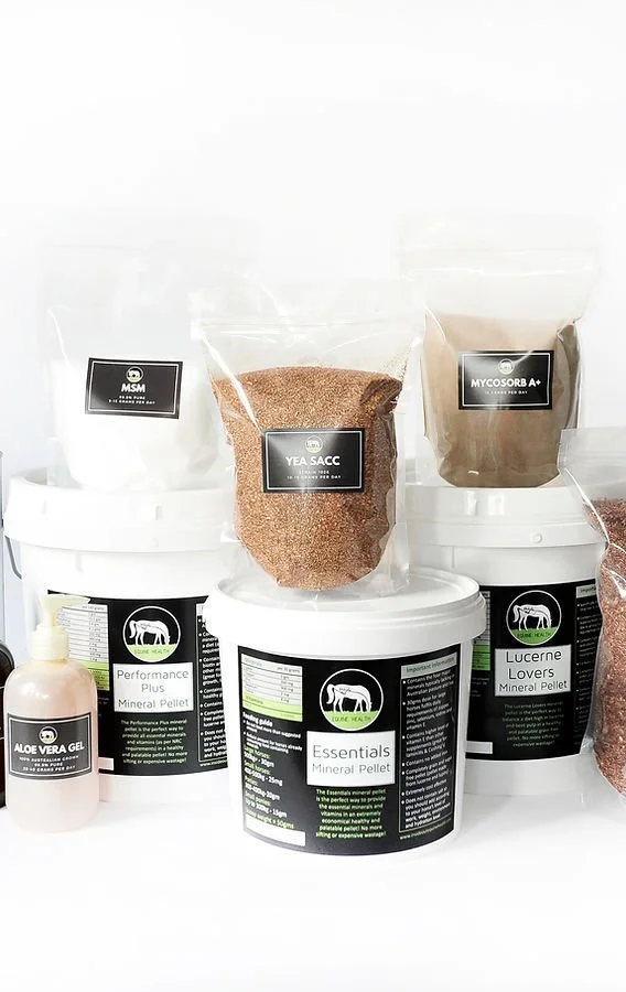 Various bags of animal feed, including Yea Sacc, MSM, and Mycosorb, along with containers labeled Aloe Vera Gel, Essentials, Performance Plus, and Lucerne Lovers, displayed on a white surface.