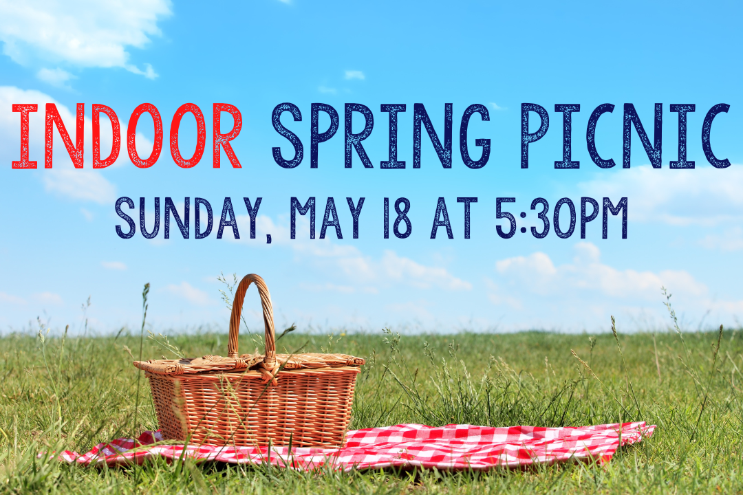 Indoor Spring Picnic