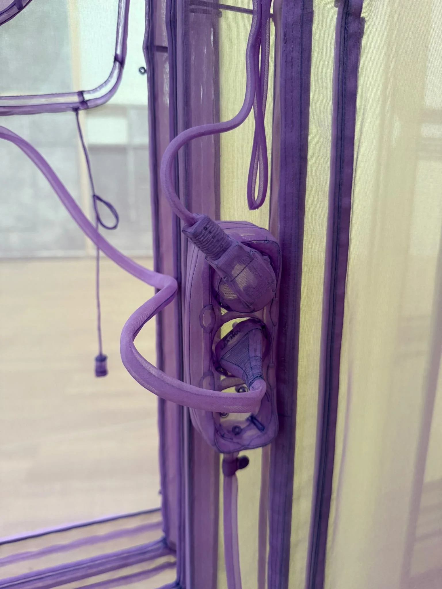 WhatsApp Image 2025-07-16 at 12.03.28 PM-2.jpeg