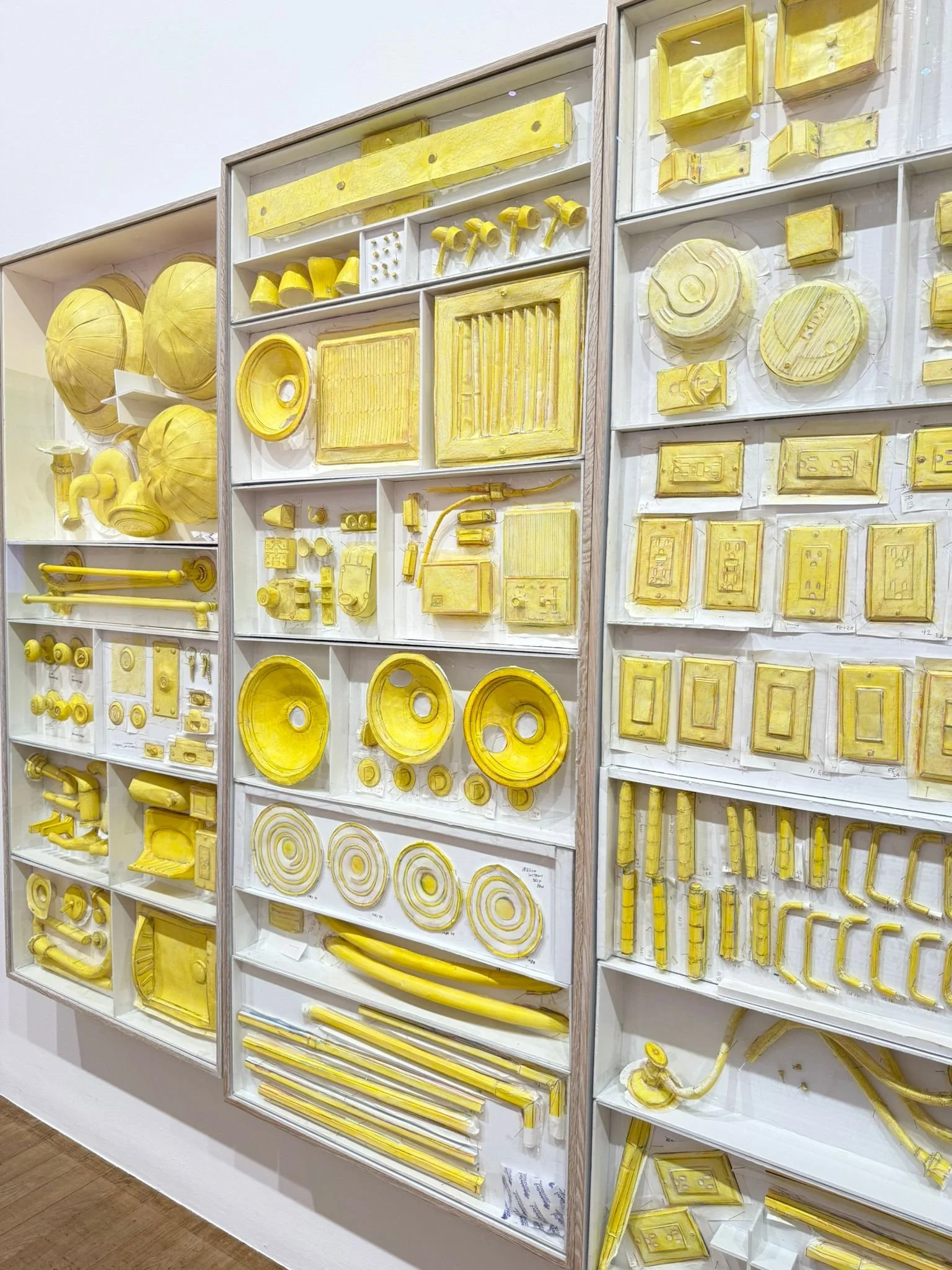 WhatsApp Image 2025-07-16 at 12.03.31 PM.jpeg