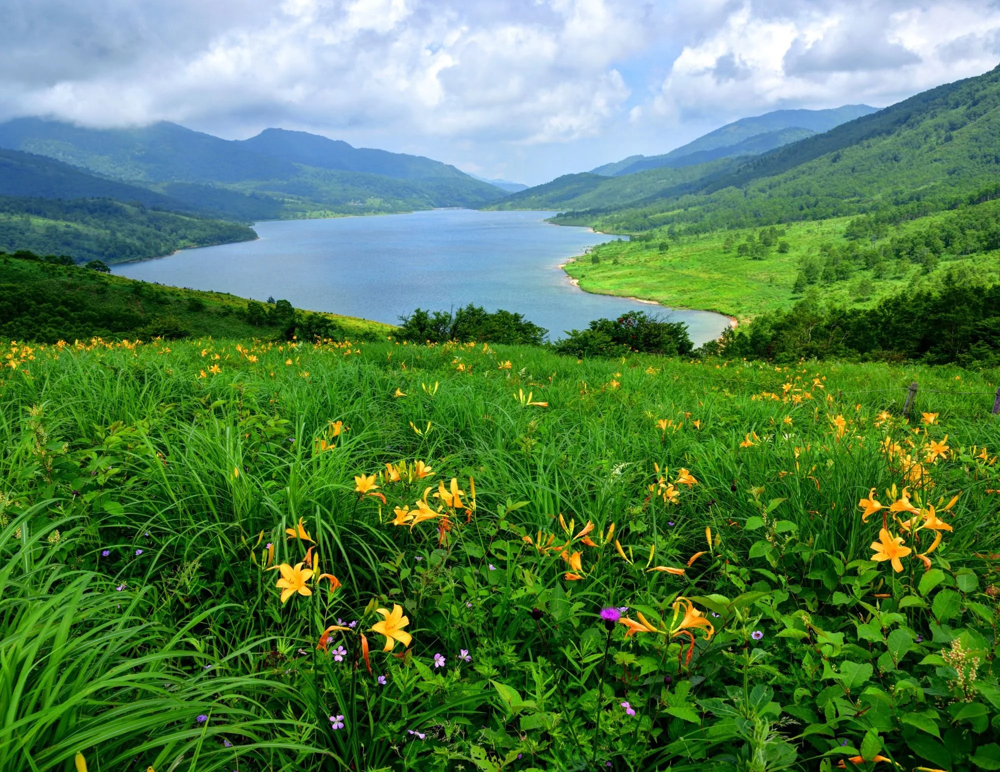 Lucid dreaming group