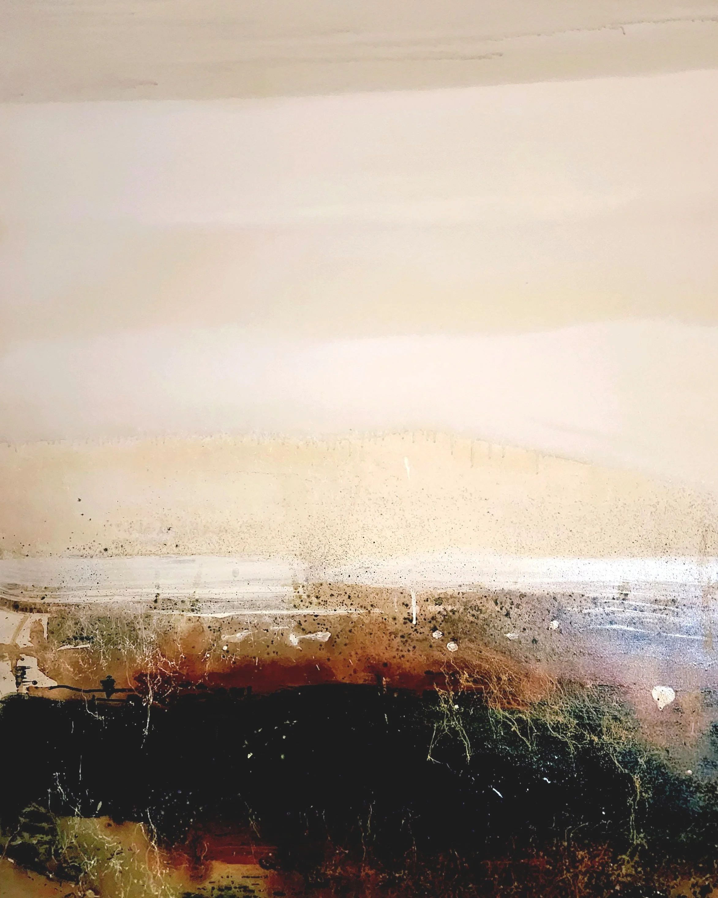 20250218_194741.jpg