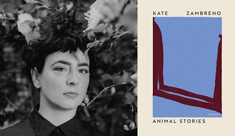 Kate Zambreno (ANIMAL STORIES) with Claire Fallon