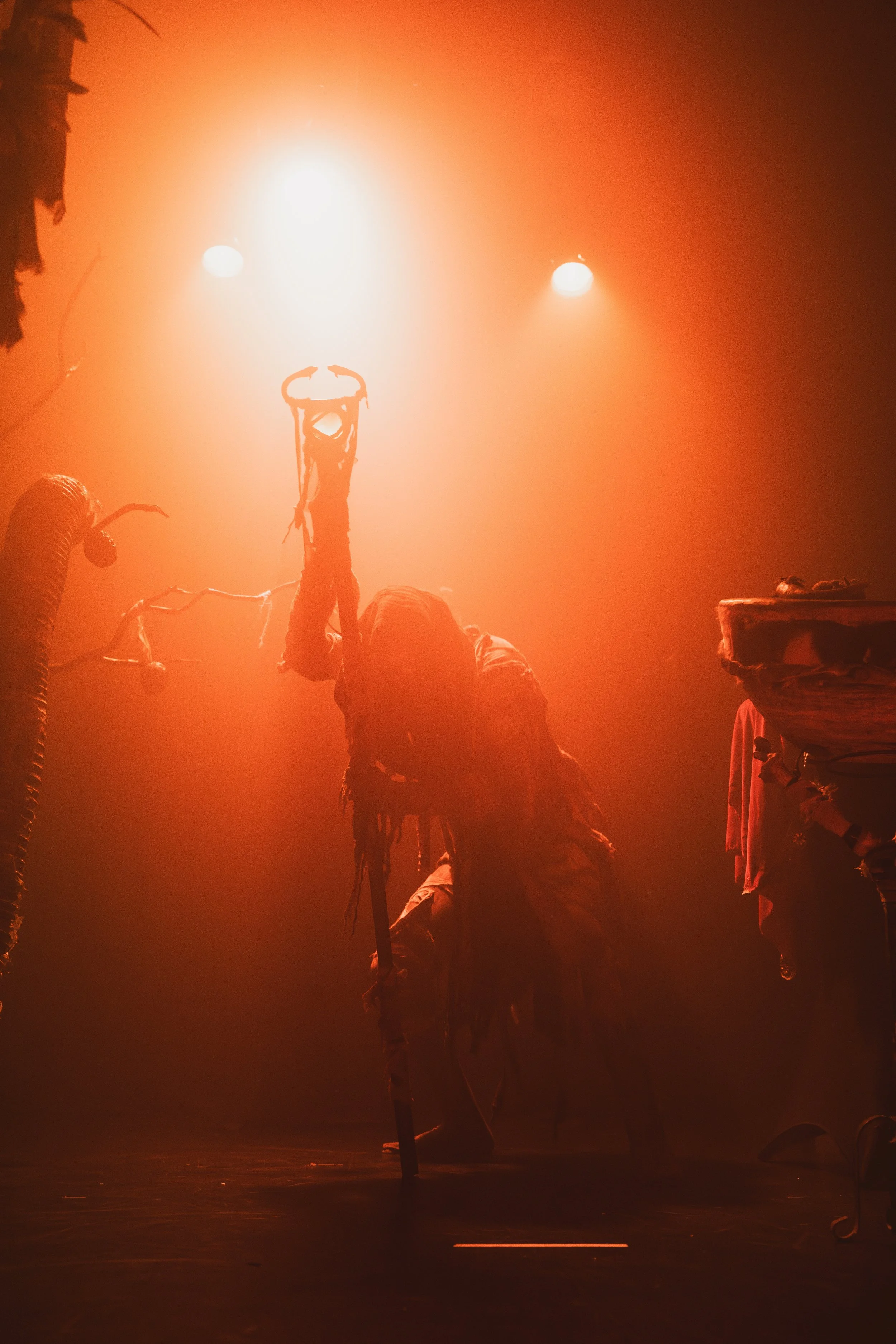 DSC00246-Enhanced-NR copy.jpeg