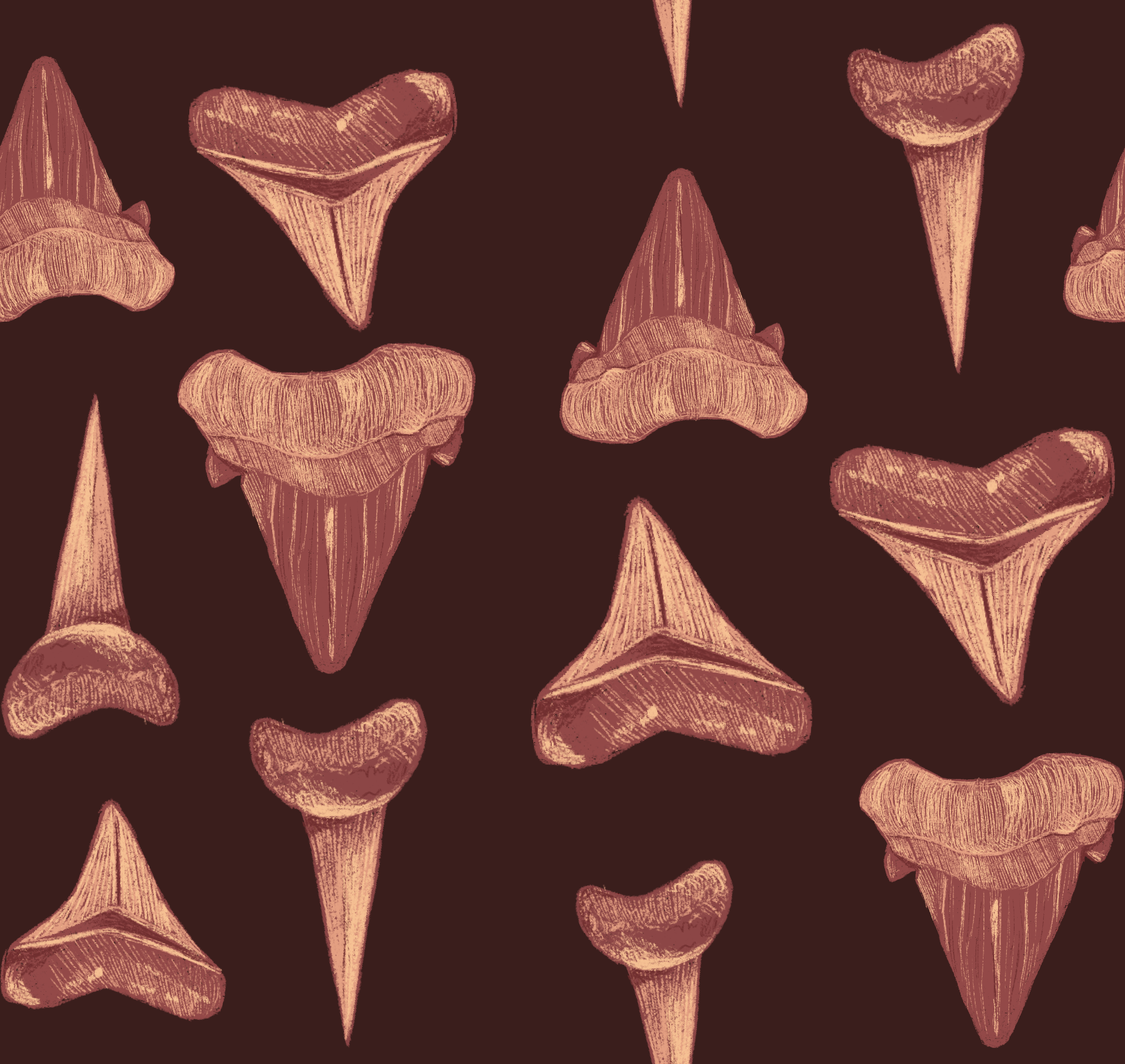 Untitled_Artwork 6.png