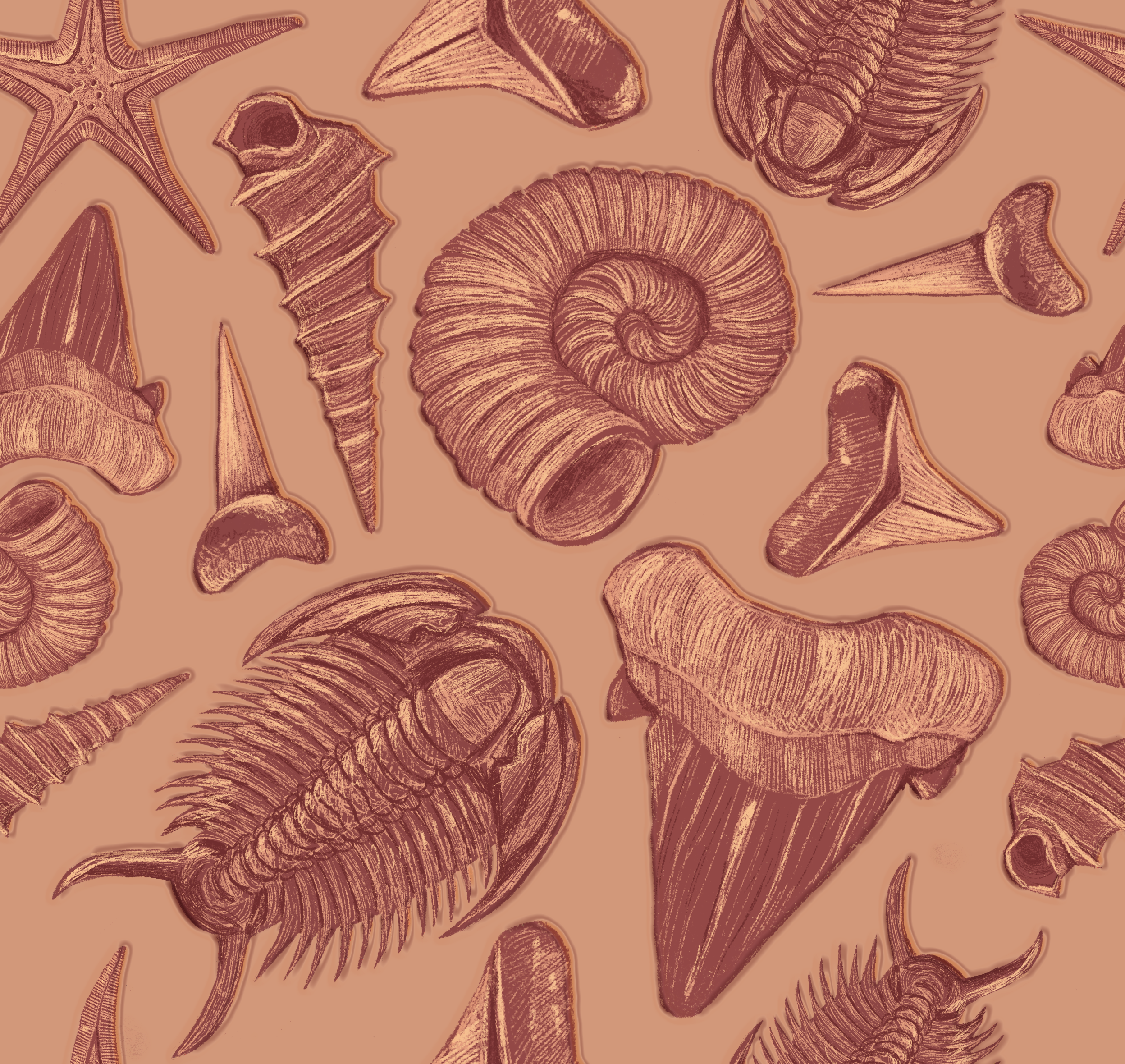 Untitled_Artwork 01.png