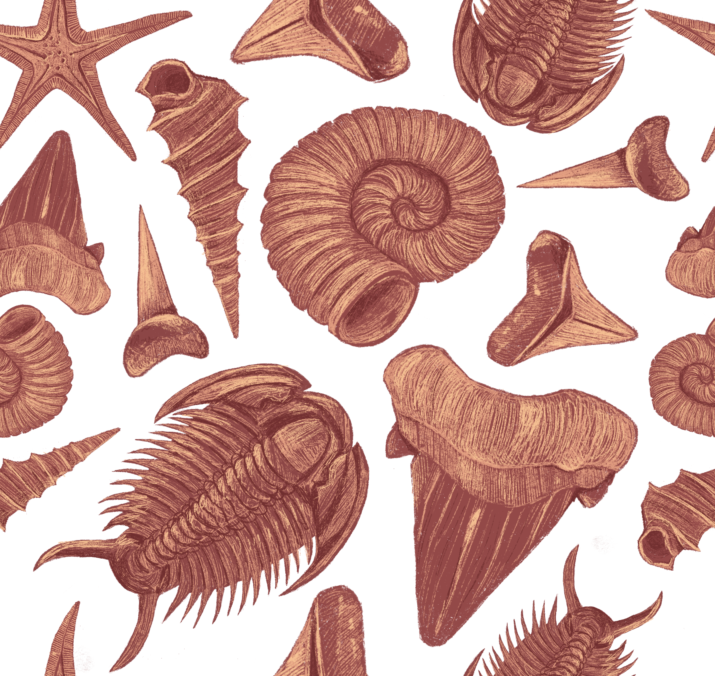 Untitled_Artwork (1) (1).png