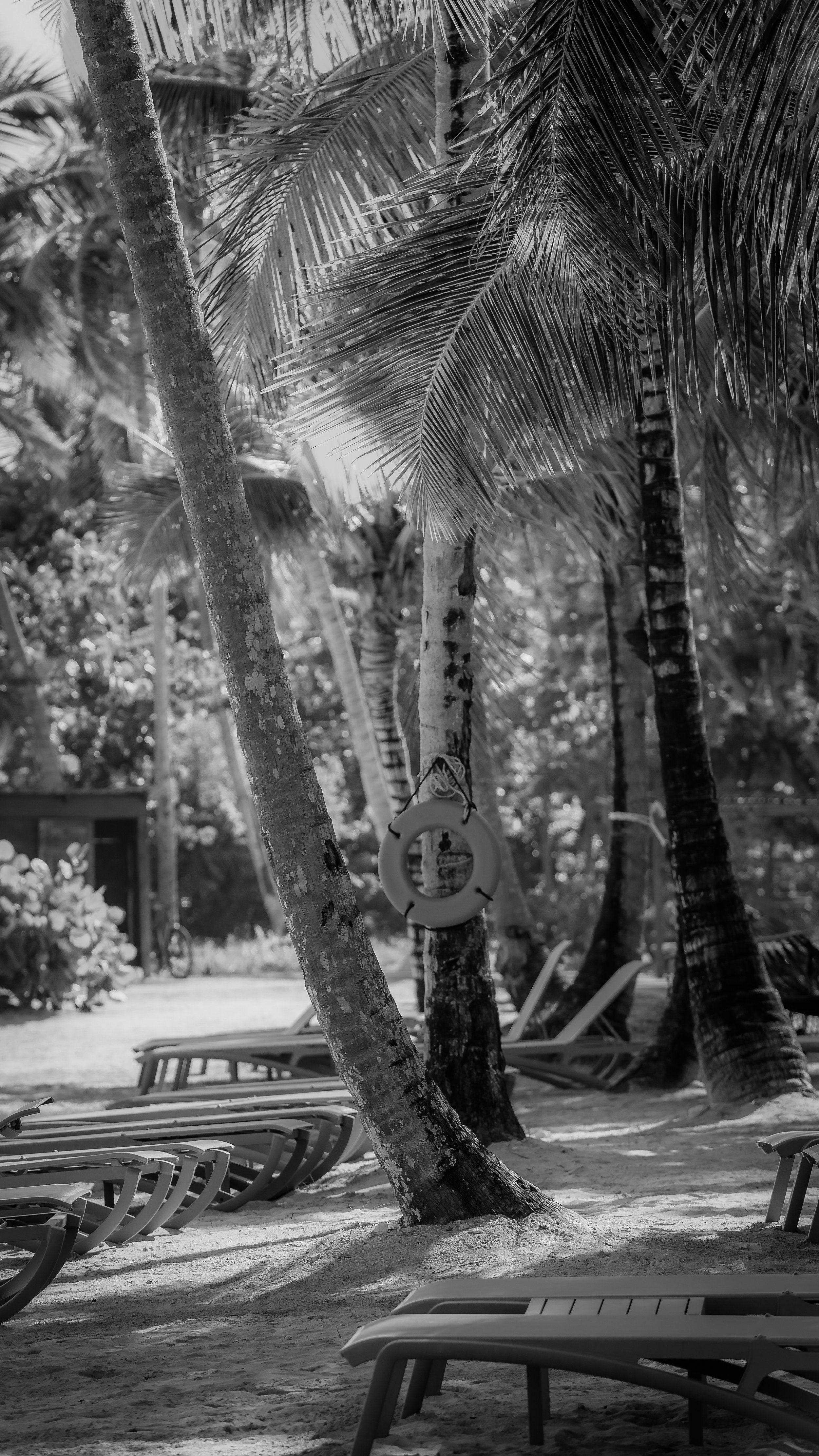 Beach Vibes B&W Version