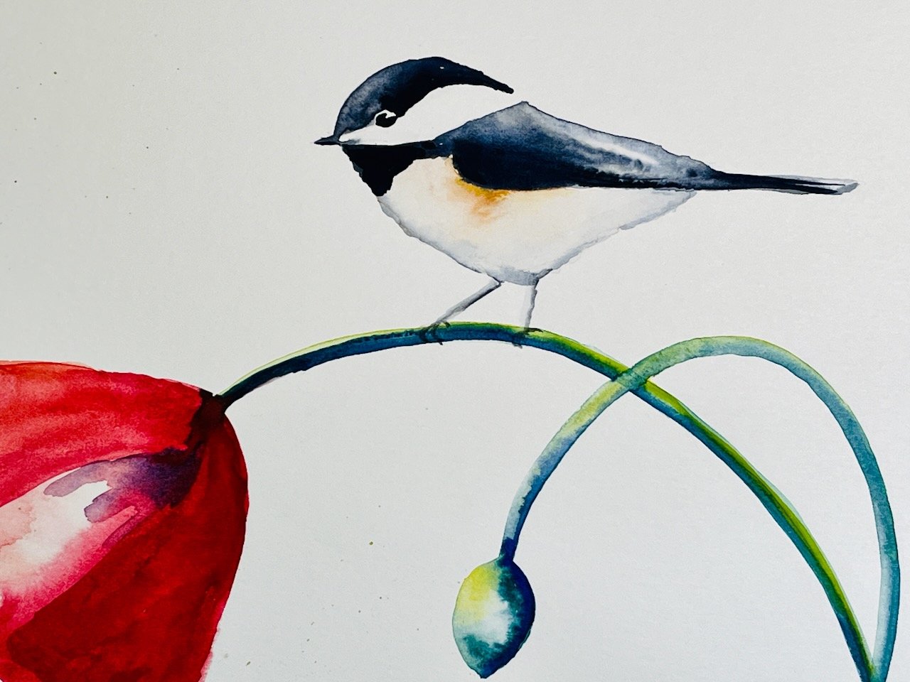 Katrina-Meister-Chickadee-Poppy-watercolor-painting-bird-detail.jpeg