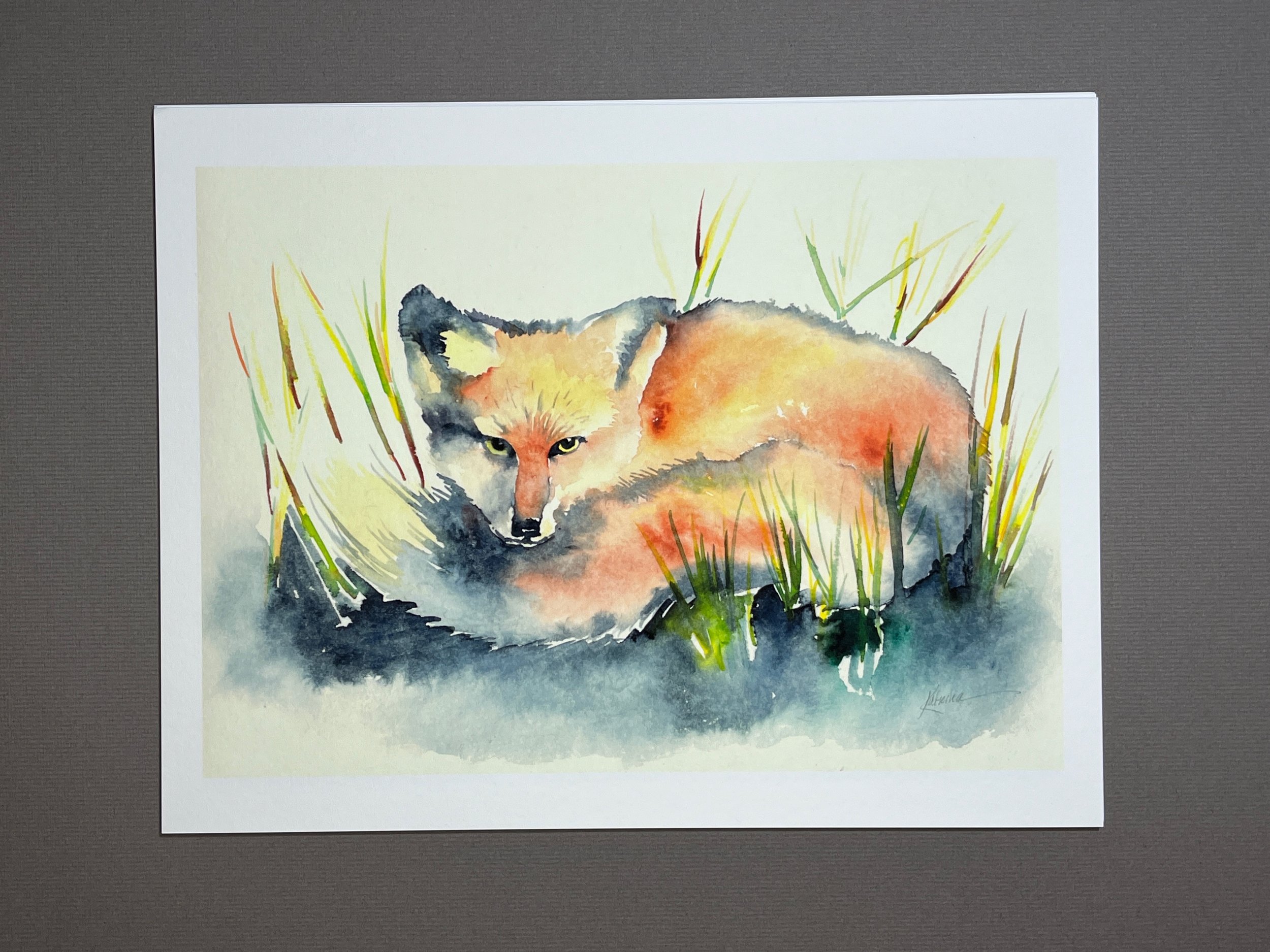 Red Fox