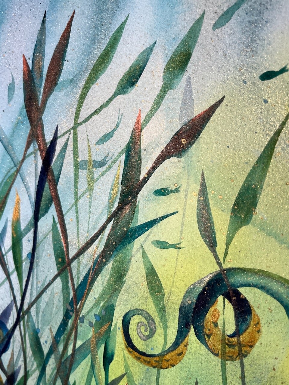 Katrina-Meister-Octopus-watercolor-detail8.jpeg