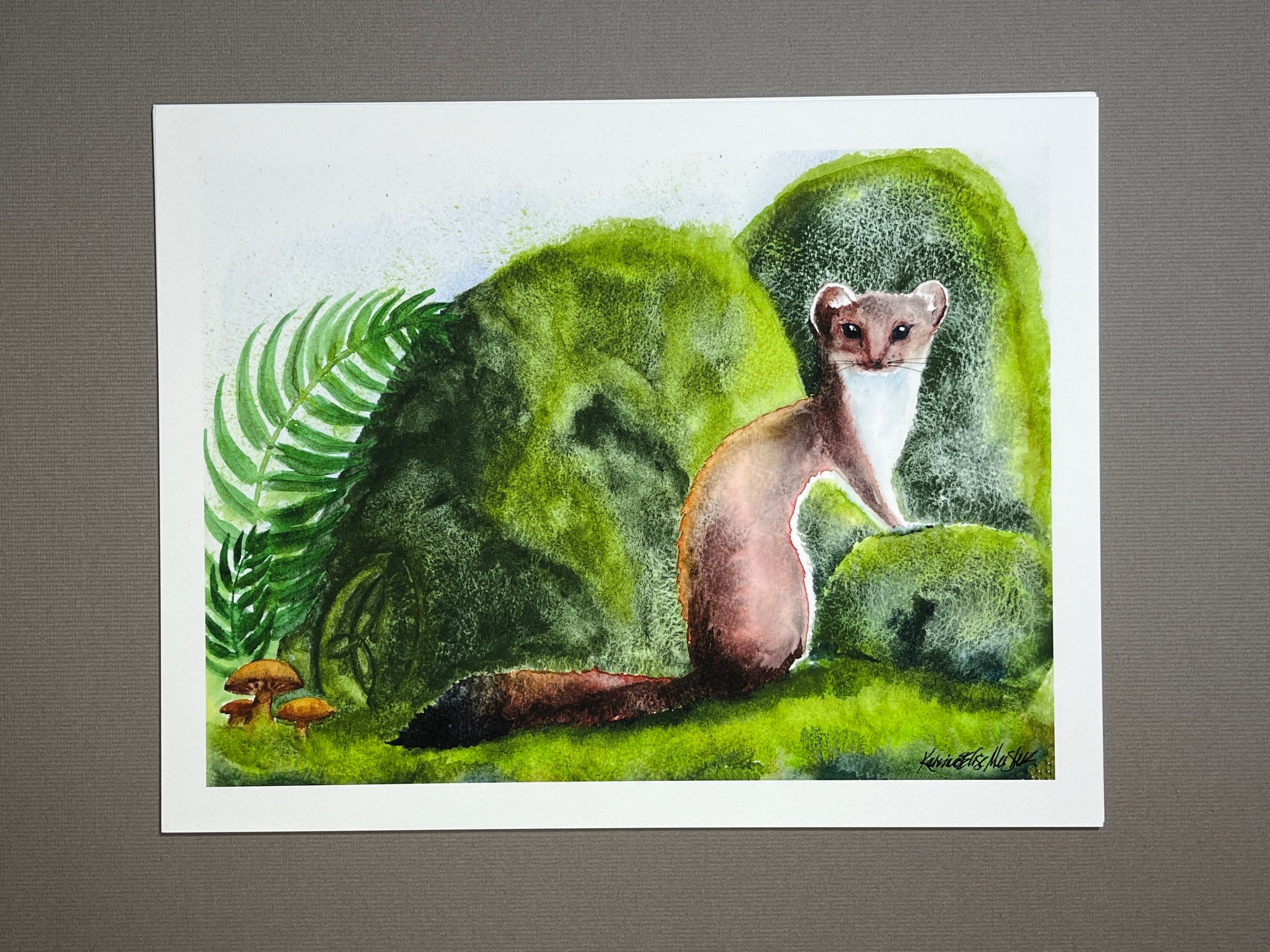 Stoat