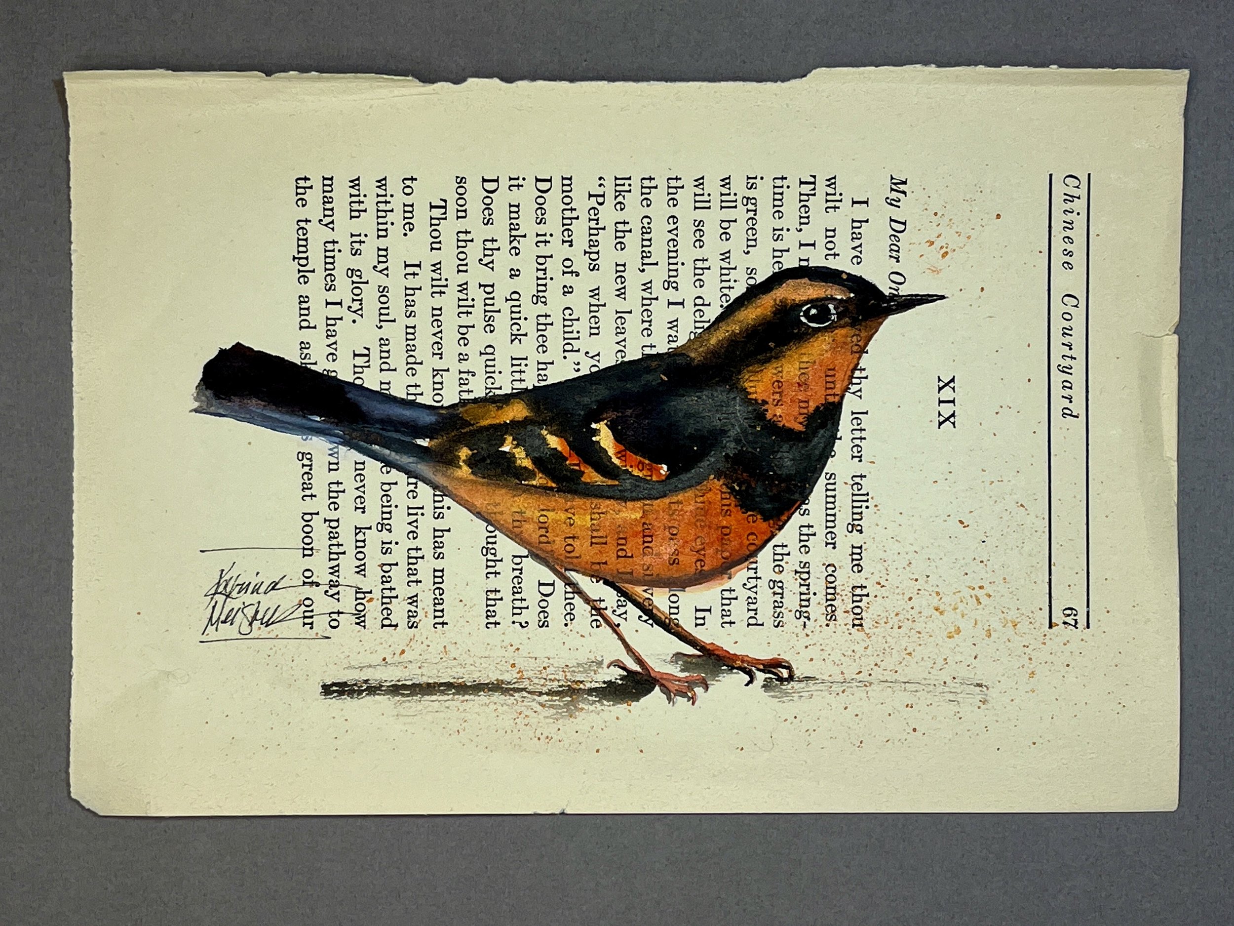 Katrina-Meister-Watercolor-Varied-Thrush-Chinese-Courtyard-bookl (1).jpeg