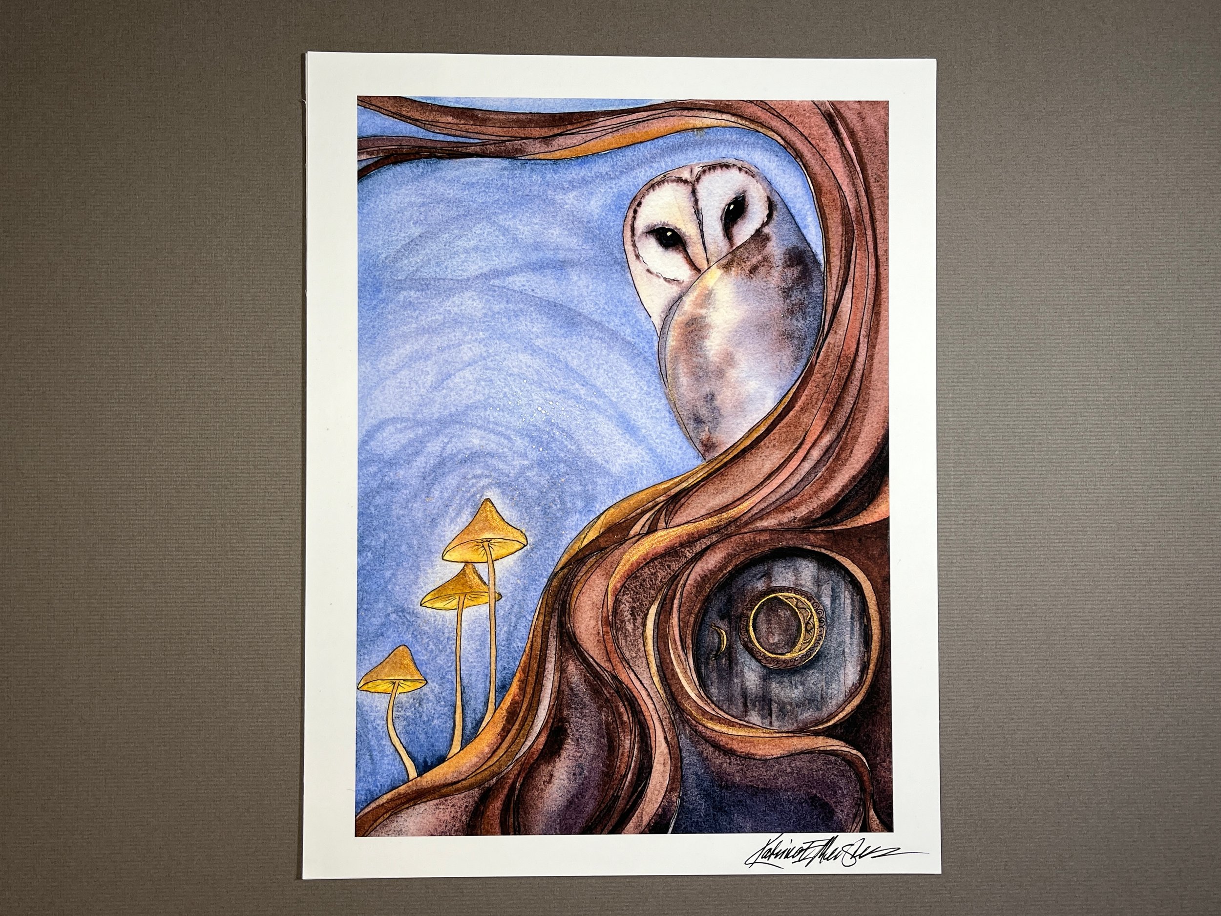 Owl and the Twisty Tree