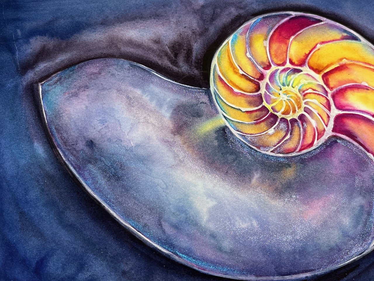 Katrina-Meister-nautilus-spiral-watercolor-painting-detail.jpeg