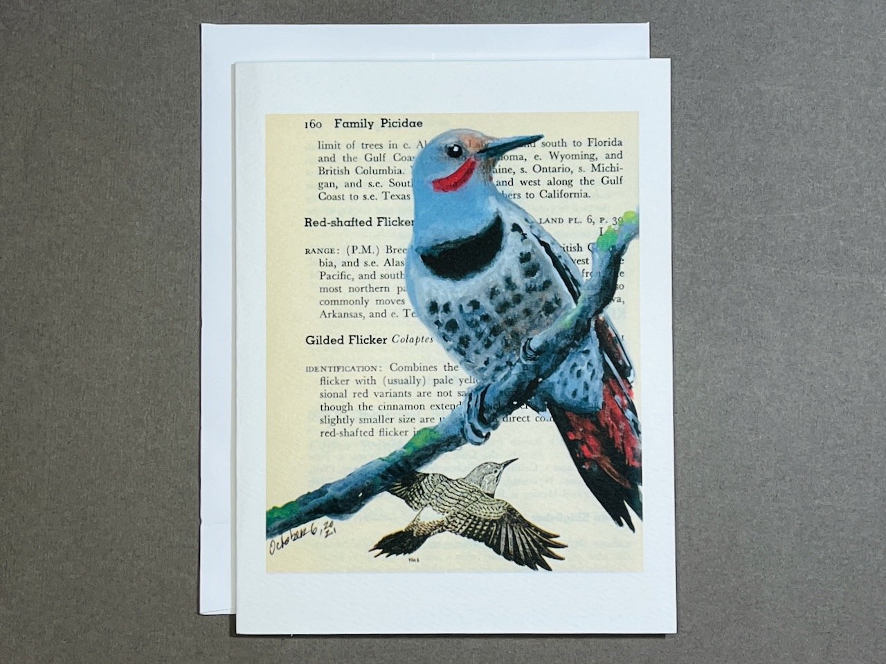 Katrina's-Cards-Flicker-Bird-Book-card.jpeg
