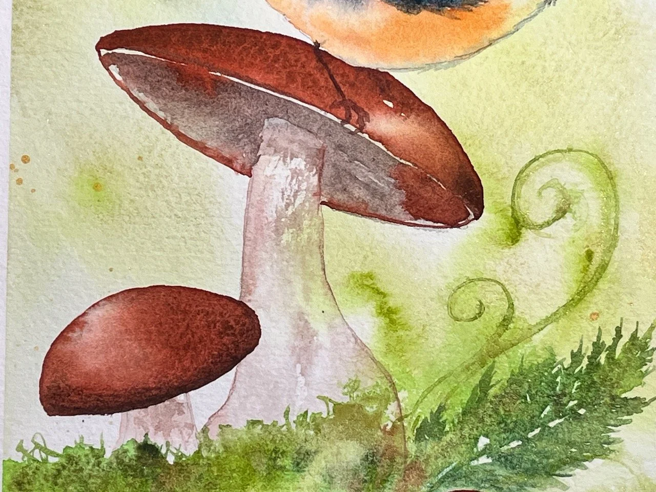 Katrina-Meister-Red-nuthatch-mushroom-watercolor-painting-detail2.jpeg