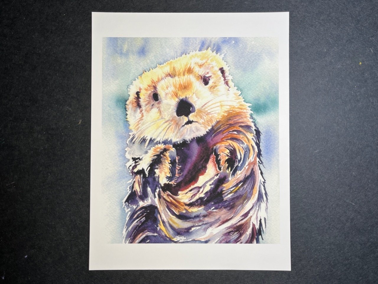 Sea Otter