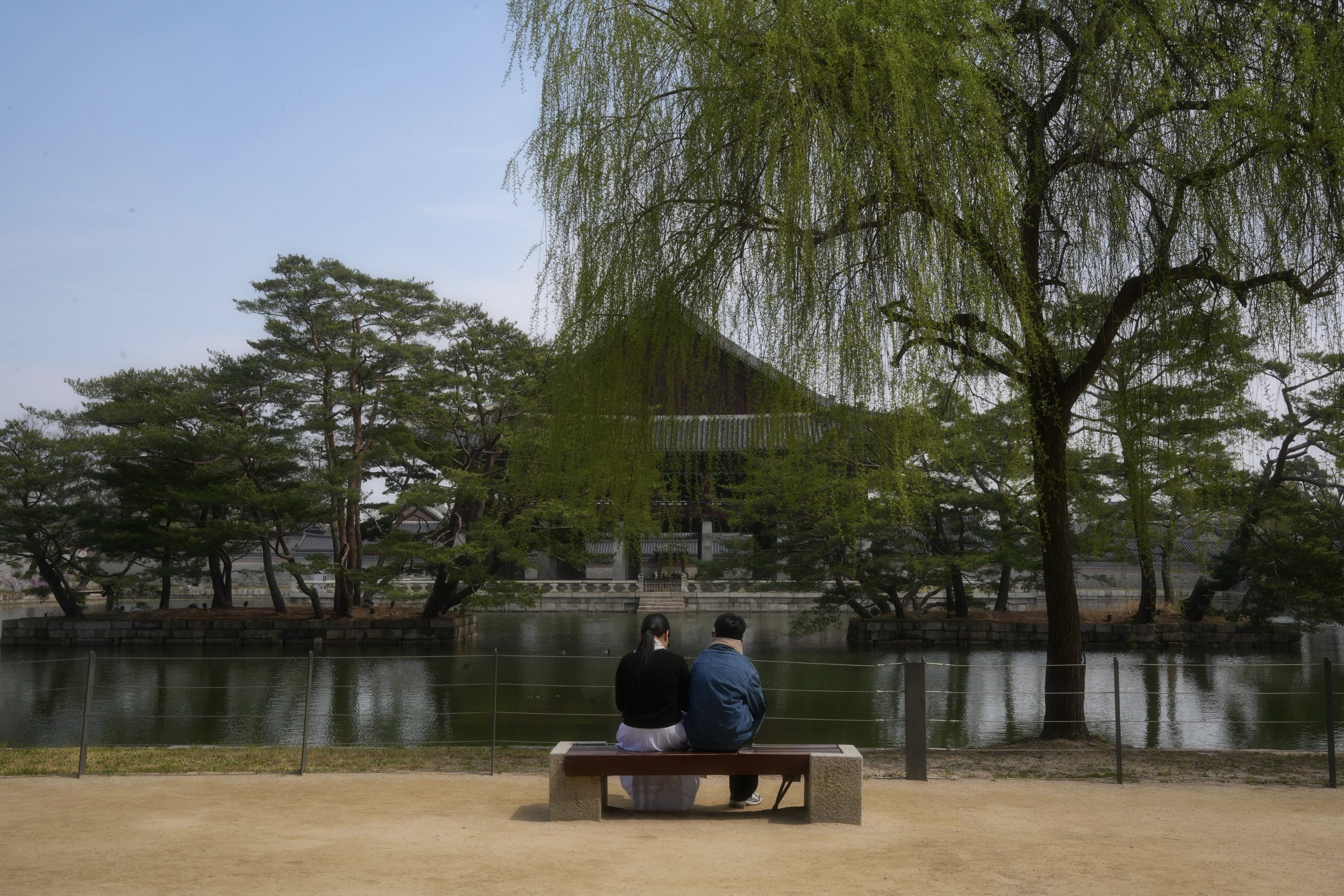 Jade's camera captures the Gyeongbokgung Palace grounds in early spring.