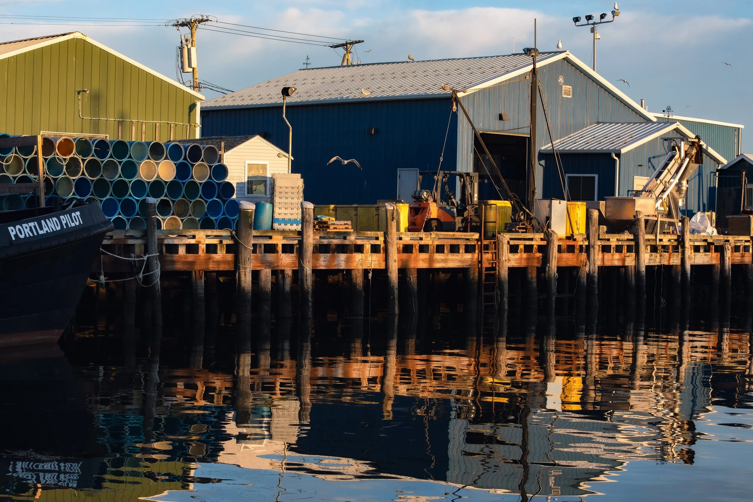 Harbor's Quiet Truth, 2024