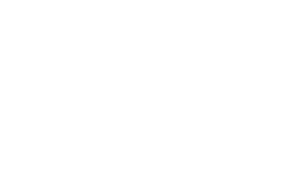 INVISIBLE IN PLAIN SIGHT