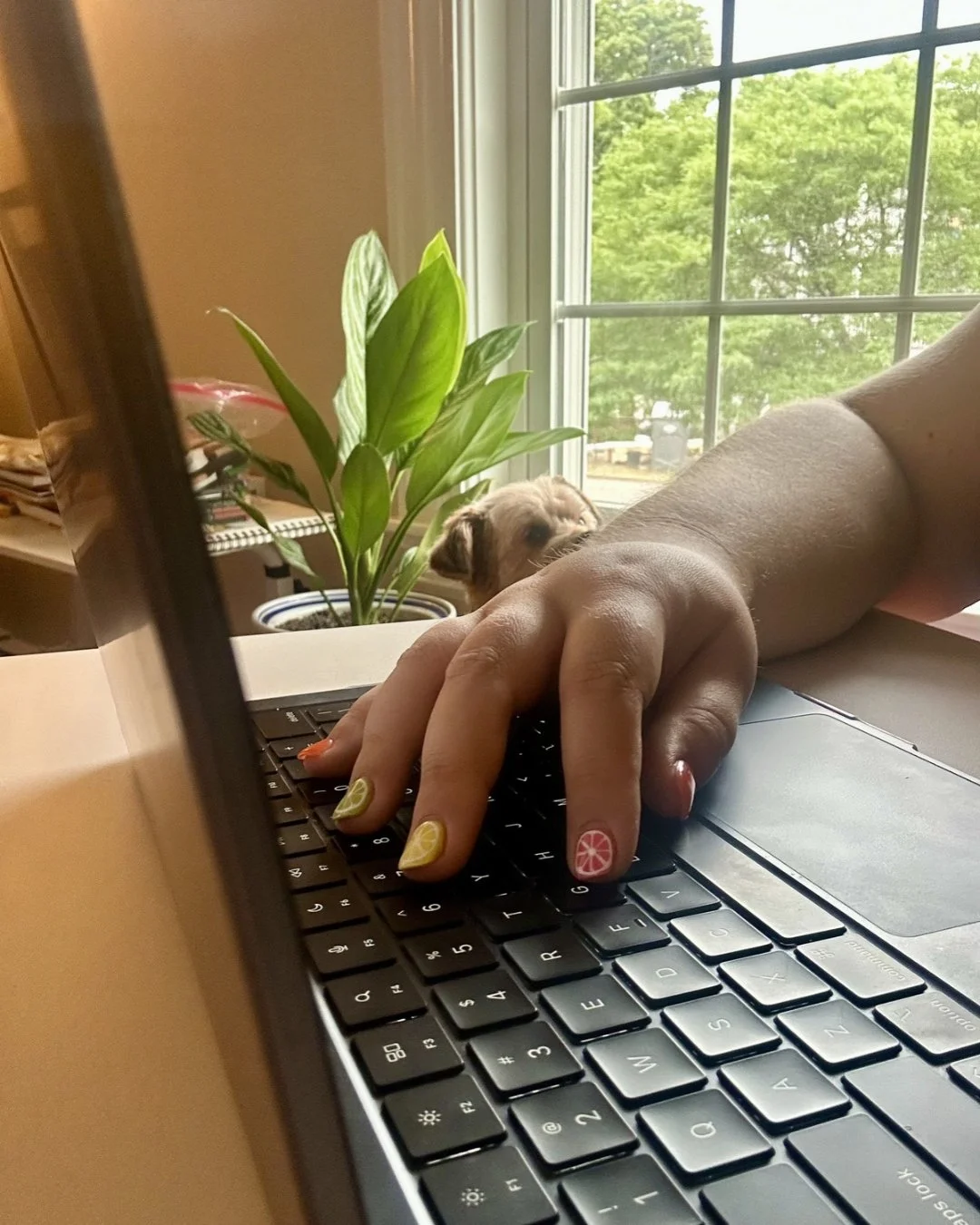 Person typing on a laptop with colorful fruit-themed nail art, while a small dog peeks out beside a potted plant by the window.