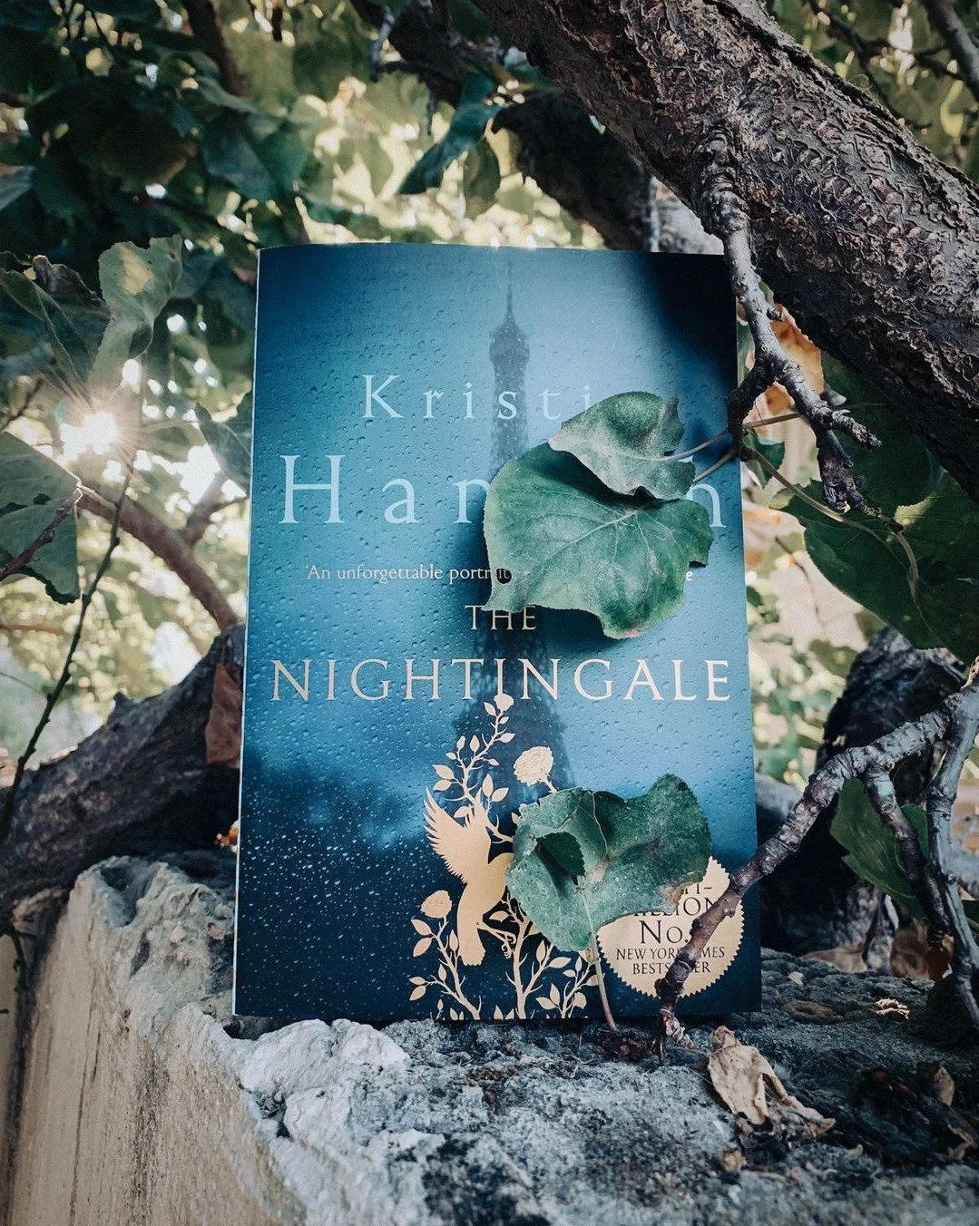 I just finished The Nightingale and I&rsquo;m not okay. Like&hellip; I need a minute.

This is easily one of the best historical fiction books I&rsquo;ve read in a long time. Not just good. Consuming. The kind that grabs you by the throat and doesn&r