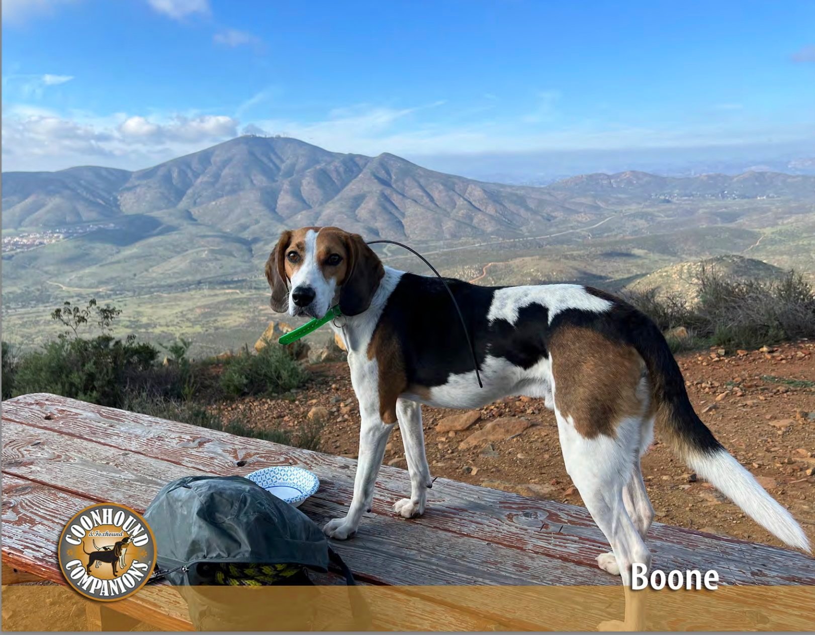 September - Boone