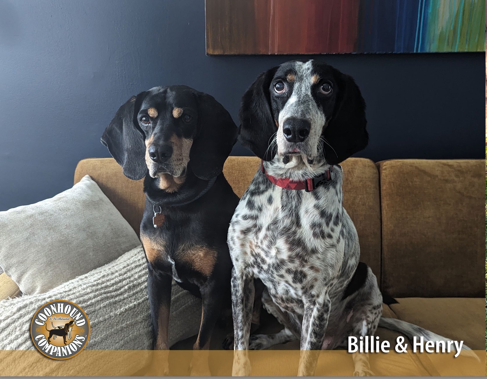 November - Billie & Henry