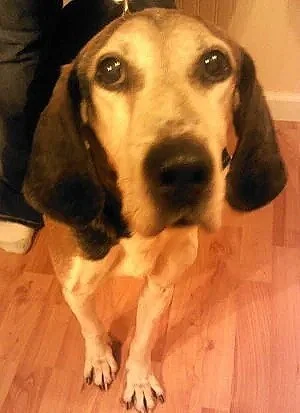 Image of Jethro, 2012, senior, our first LEA recipient.