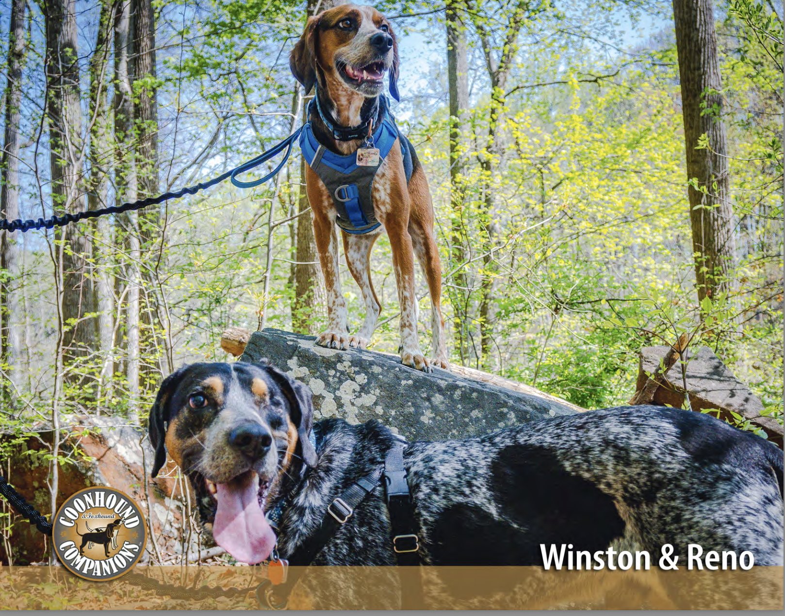 August - Winston & Reno