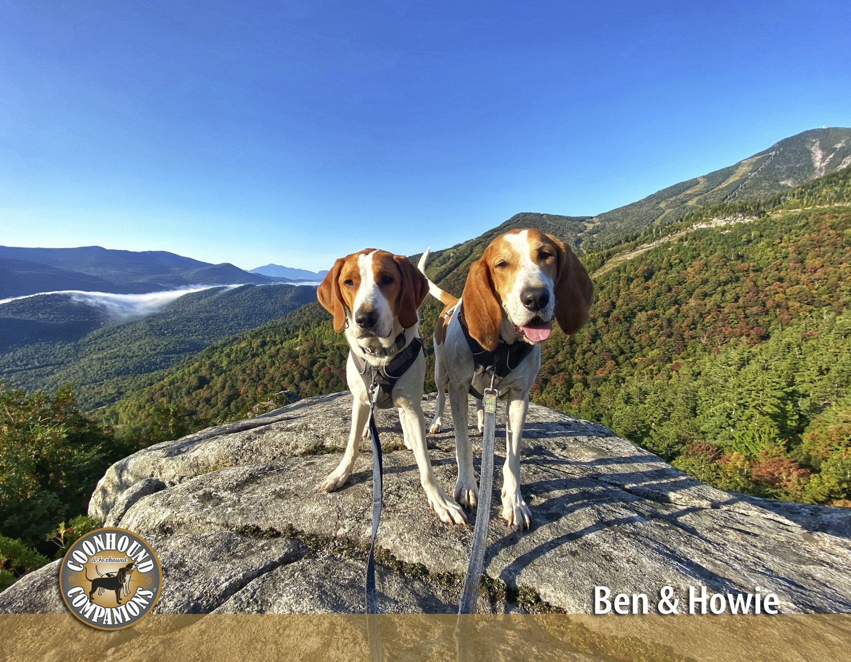 August - Ben & Howie