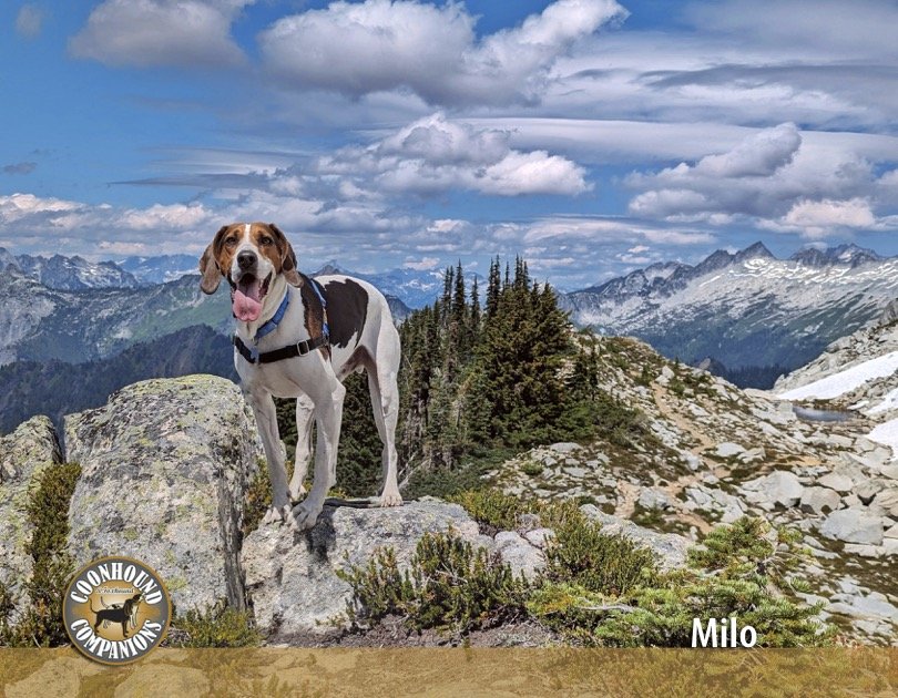 February - Milo