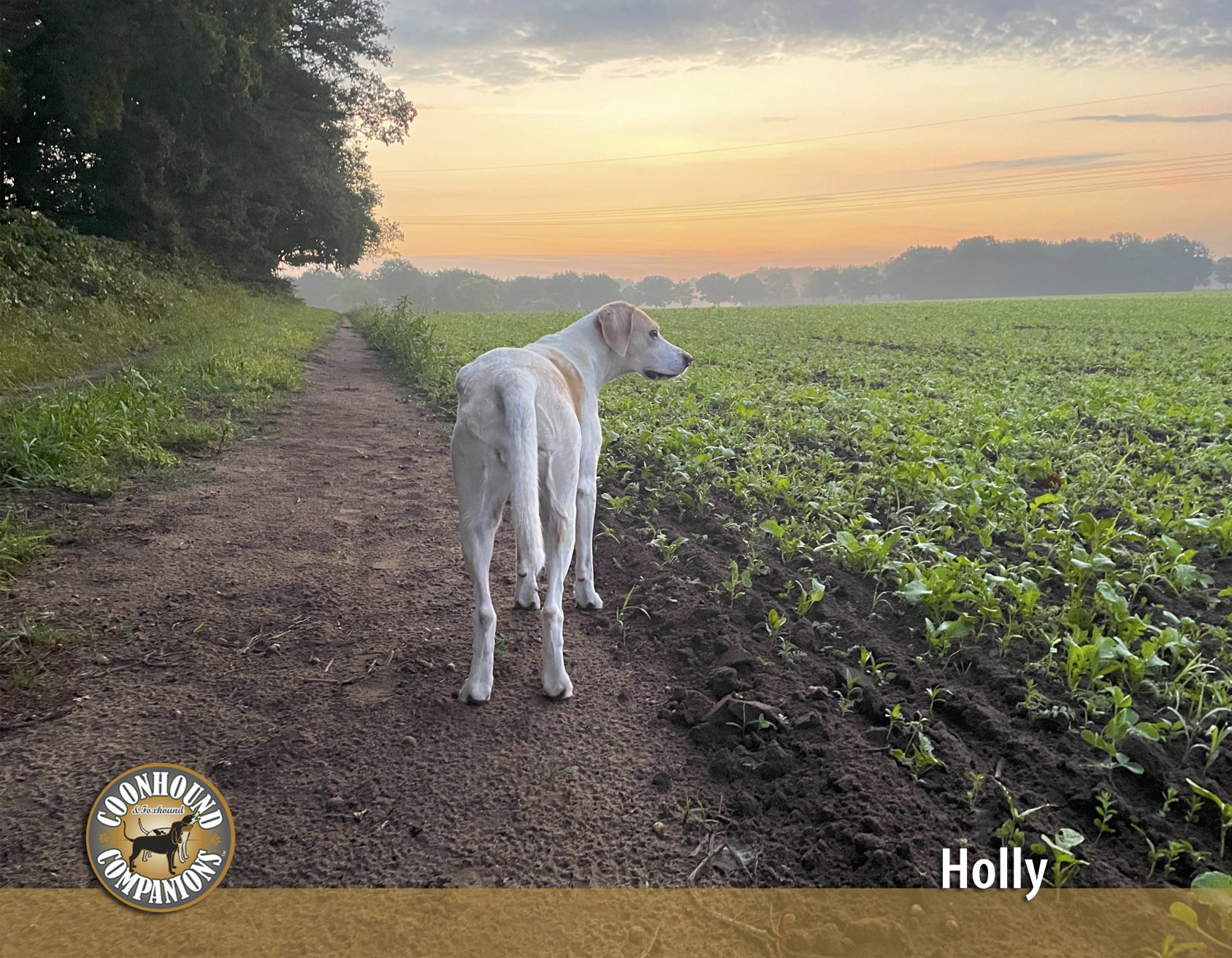 April - Holly