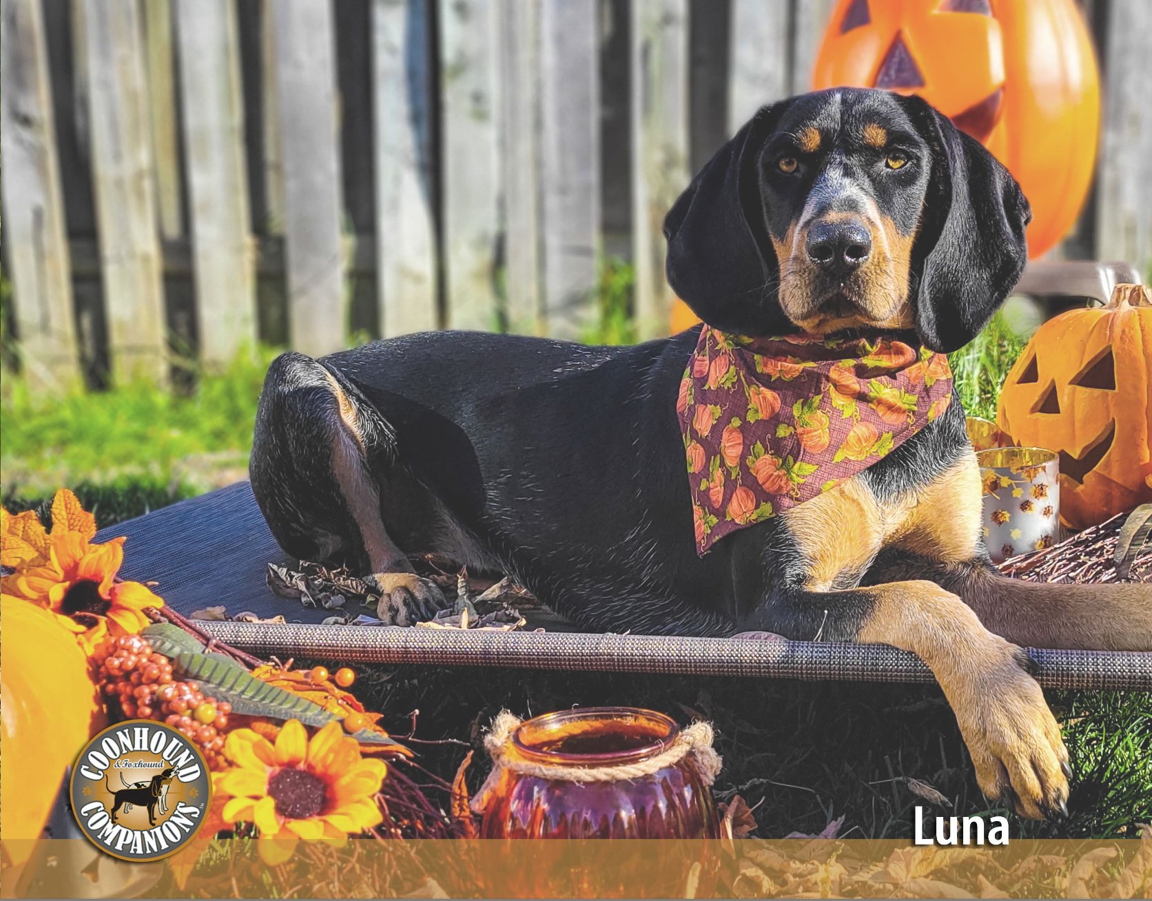 October - Luna
