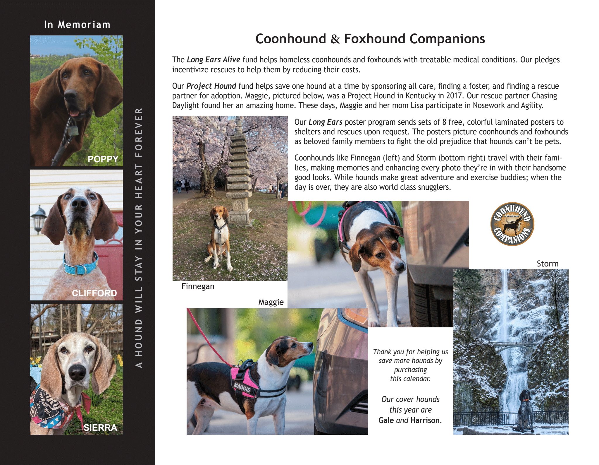 Back Cover: Clifford (RIP), Finnegan, Maggie, Poppy (RIP), Sierra (RIP) & Storm