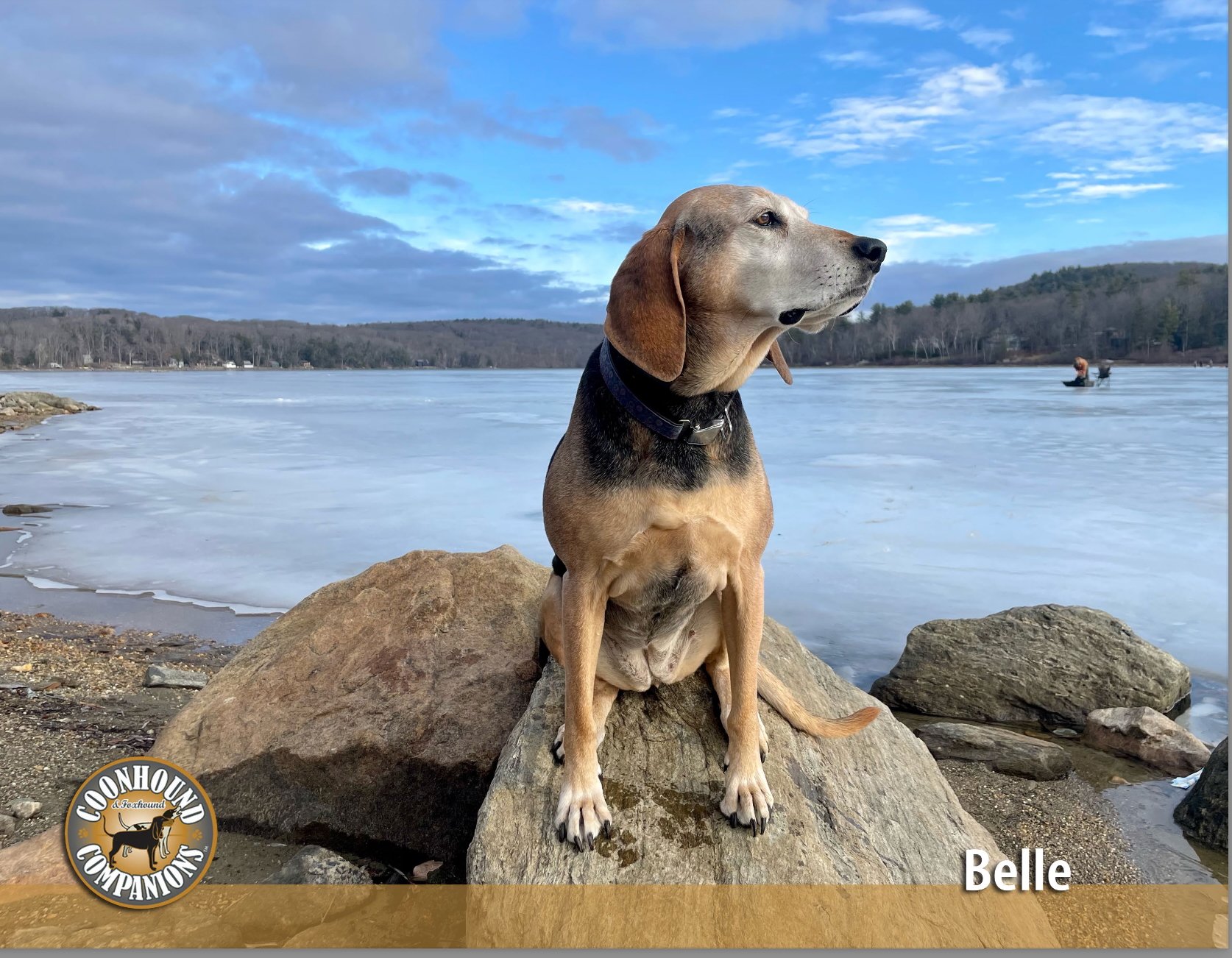 February -Belle